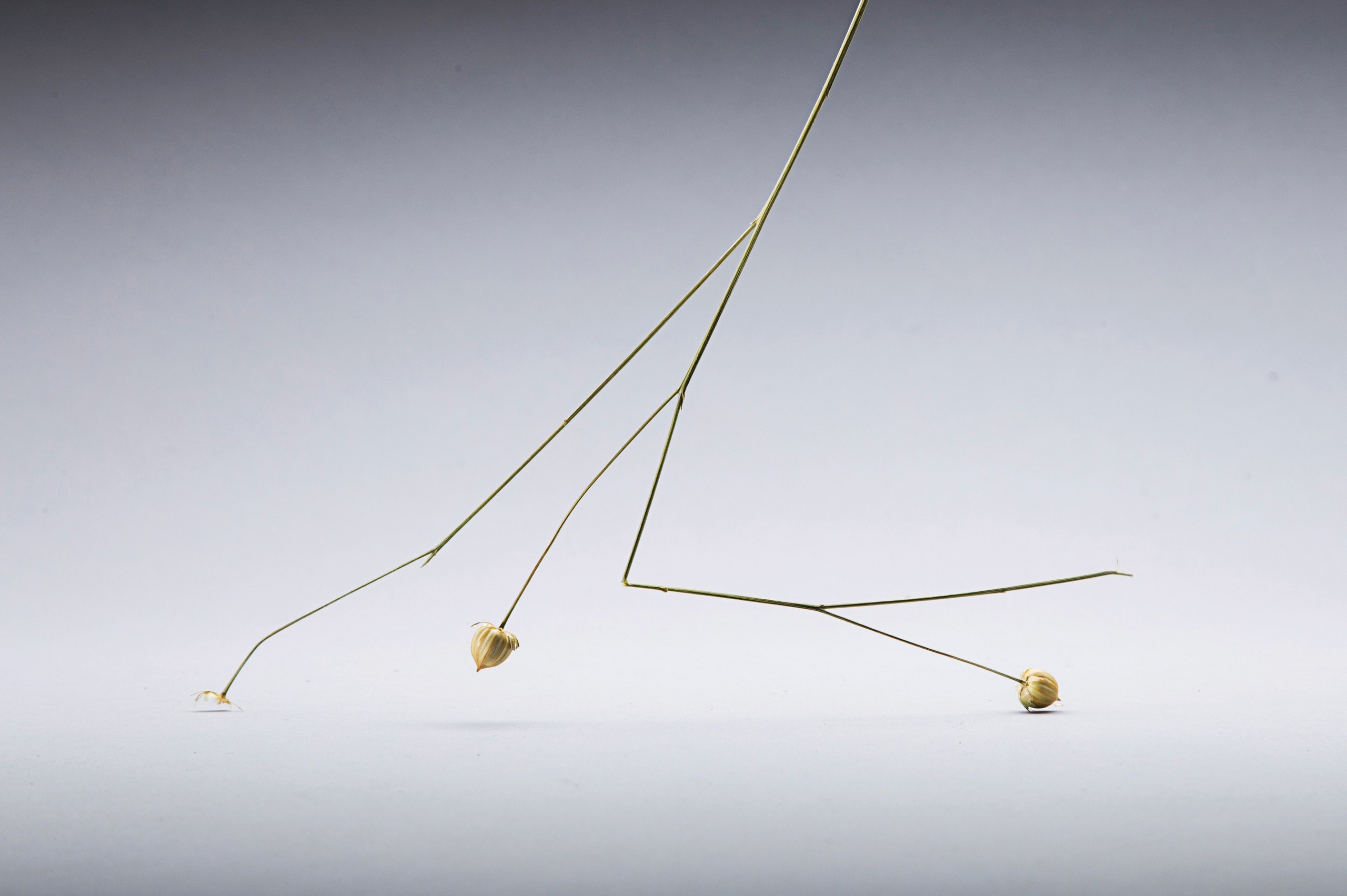 Wood recycling project. Andrew Valmus