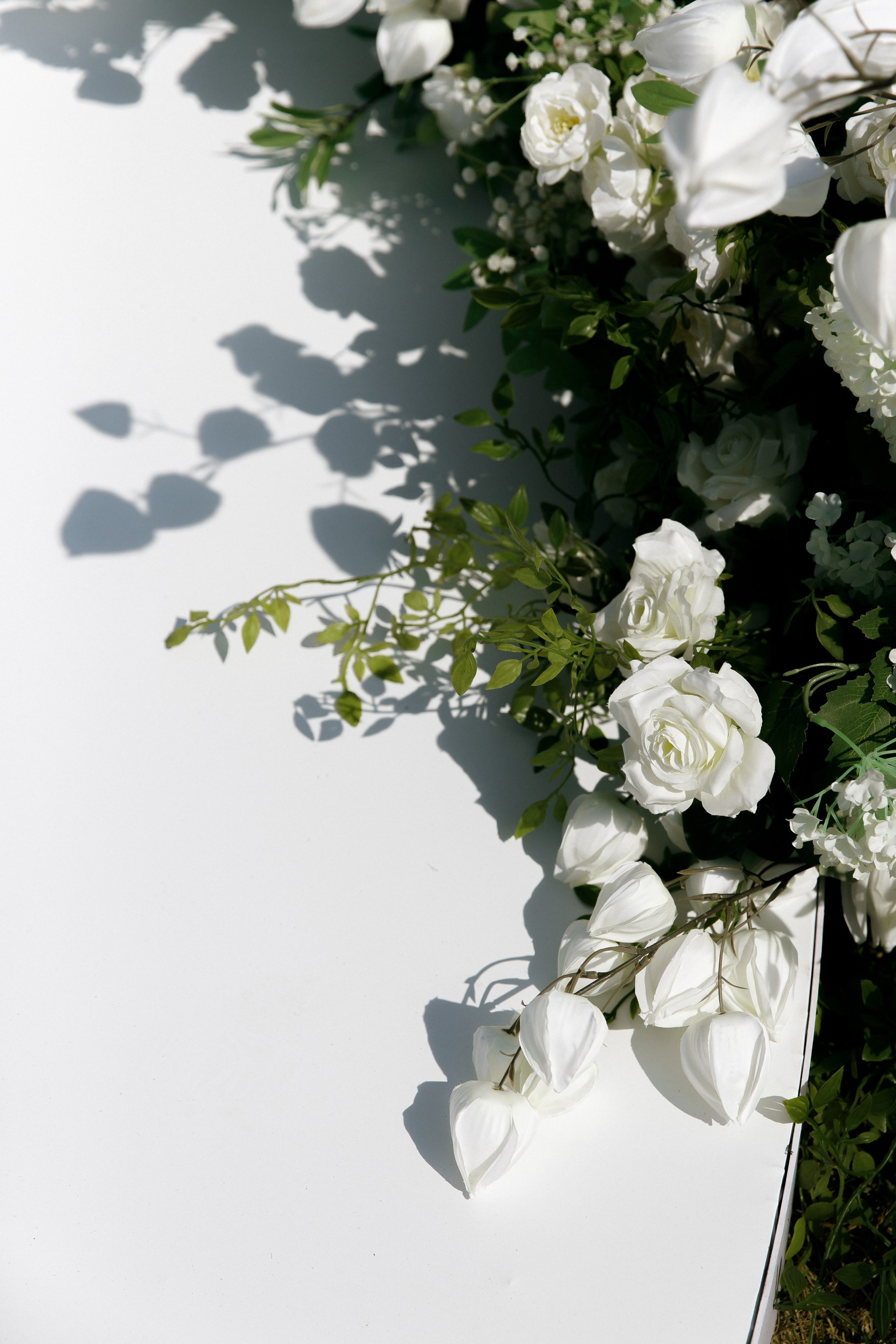 Wedding D&D. Свадебный фотограф Краснодар Юлия Ткаченко