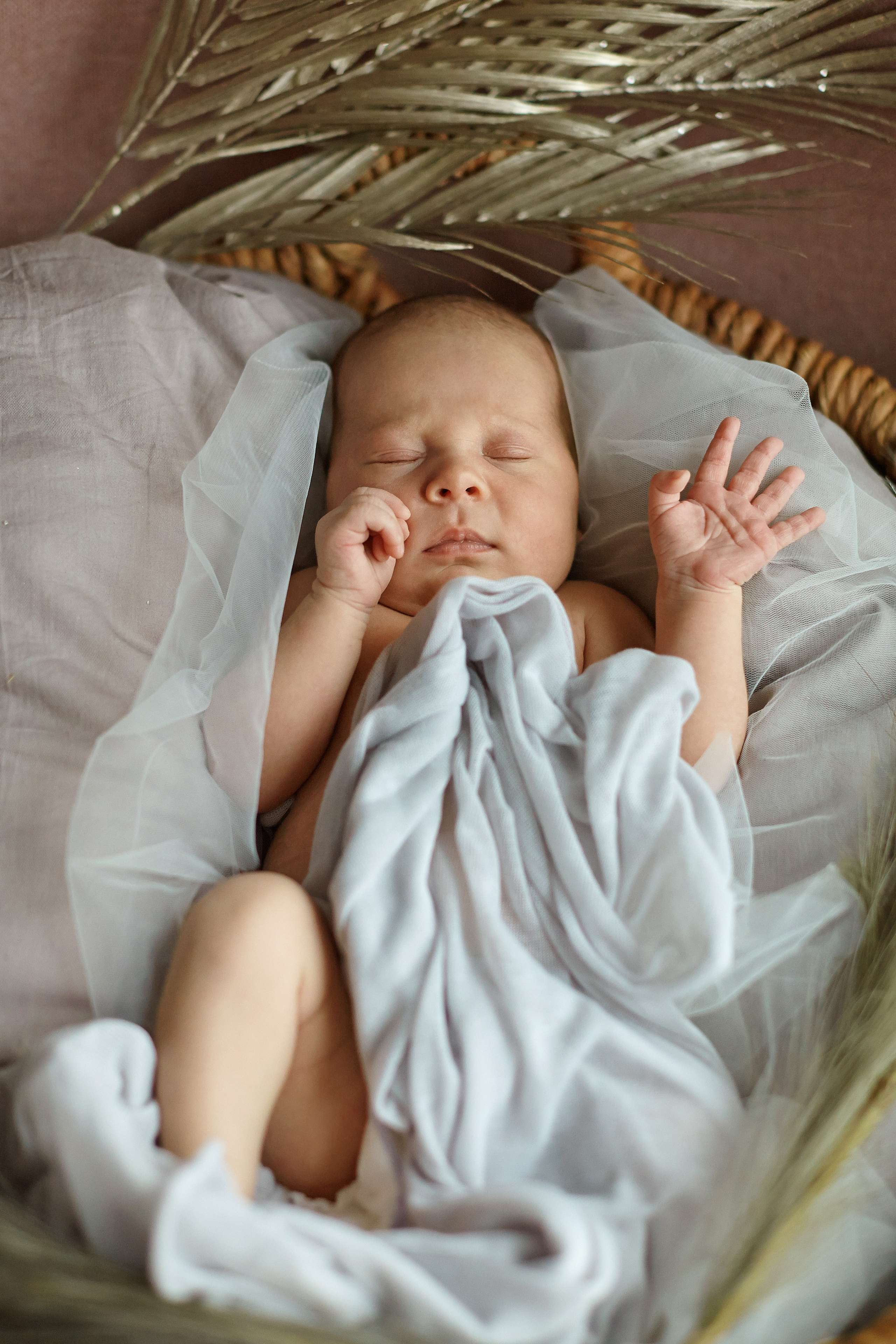 Есения. Фотограф Ольга Ефремова