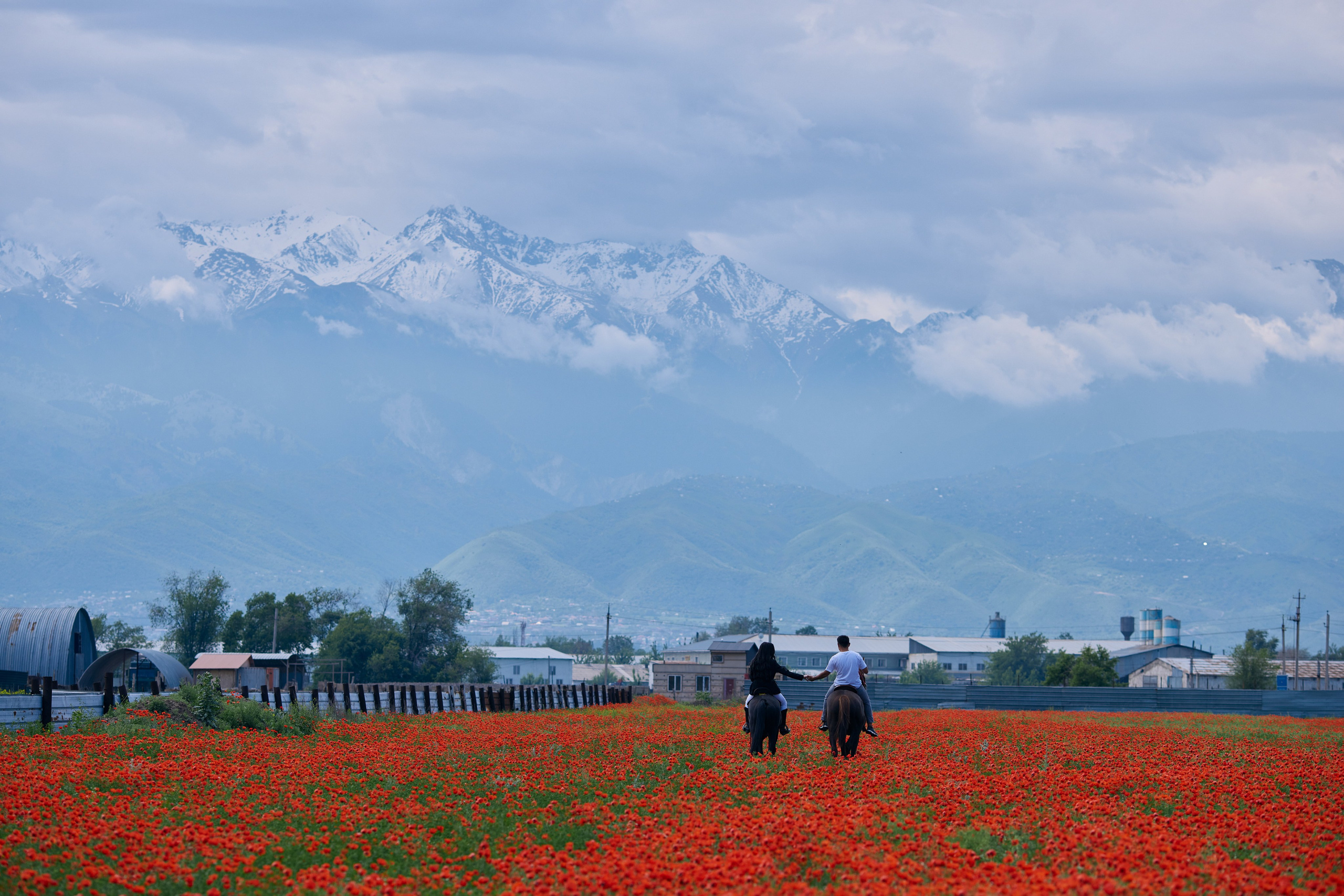 Семейный и индивидуальный фотограф в Алматы — Индивидуальные и репортажные съёмки от Алекса. Профессиональный фотограф в Алматы