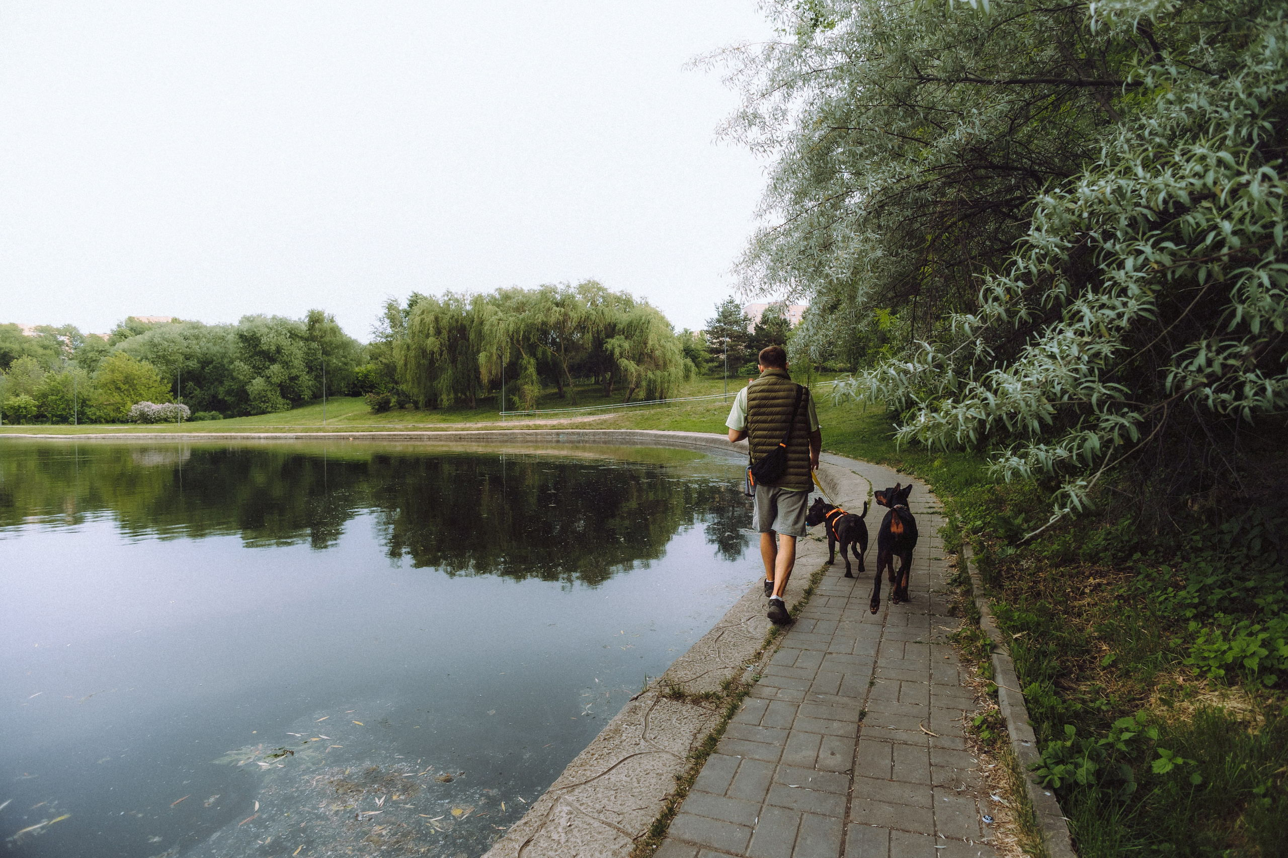 Паша, Хайди и Тея