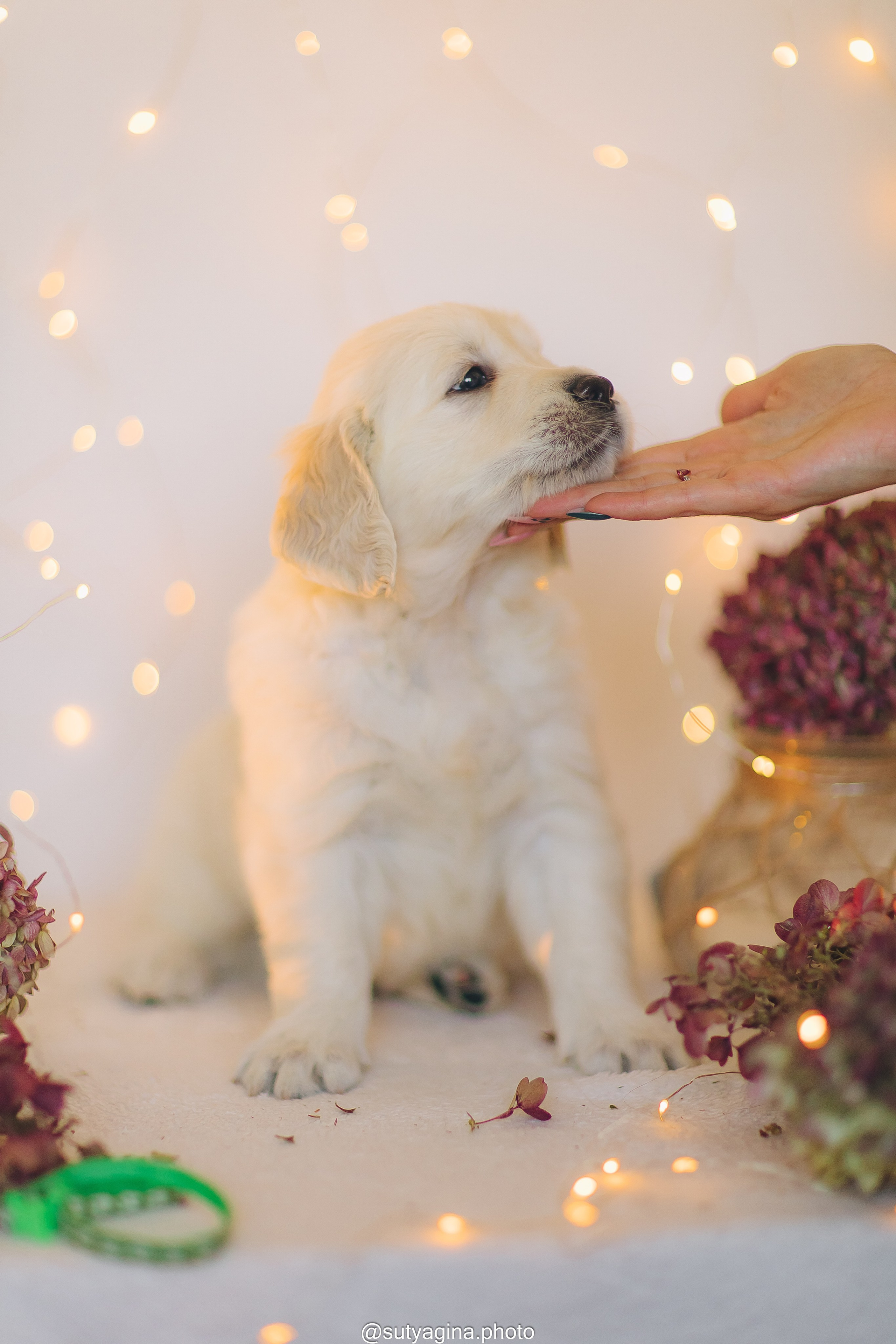 Зеленая лента. Свадебный и женский фотограф