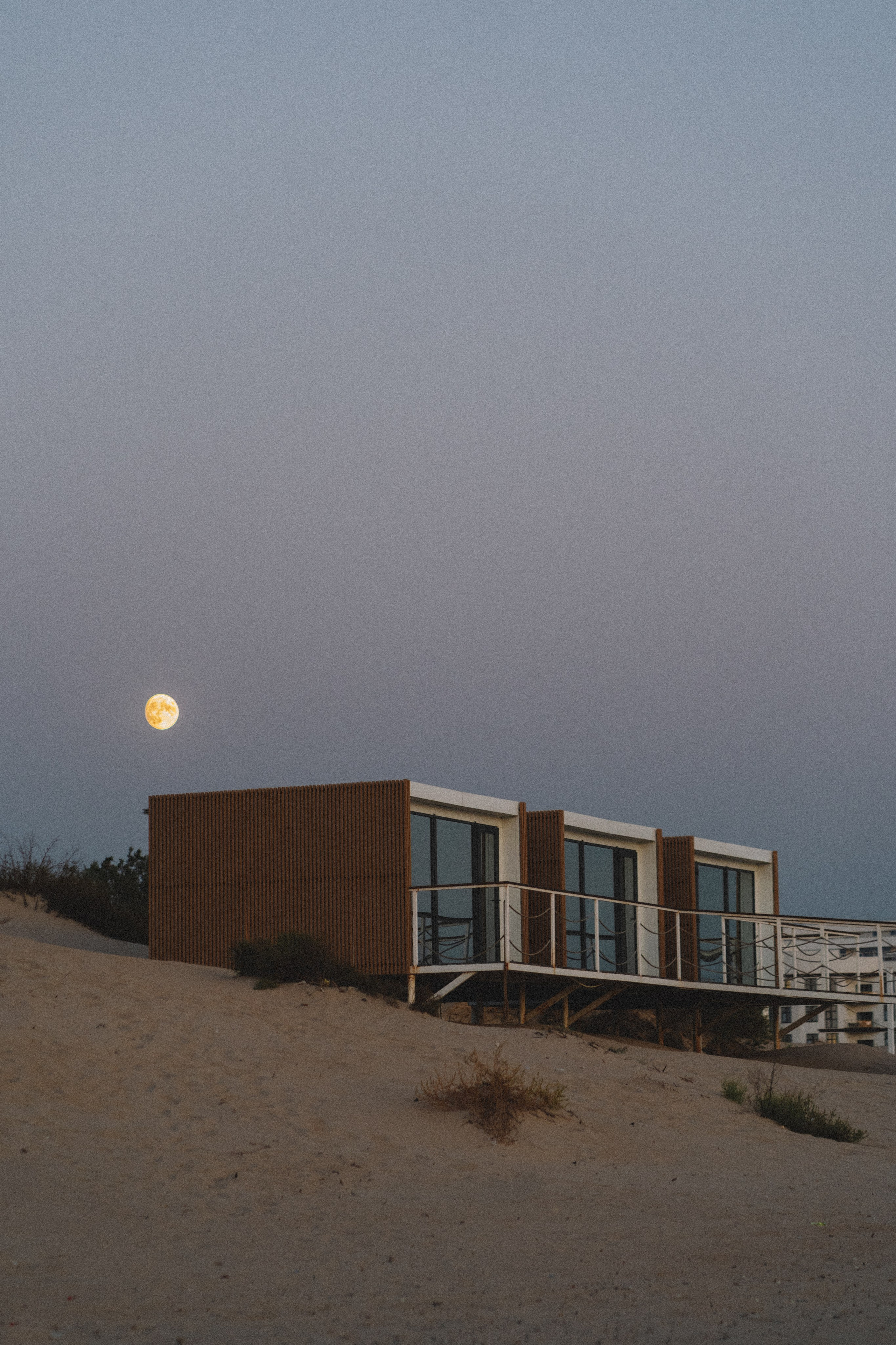 DogsVibe. Фотограф в Анапе Муратова Анна