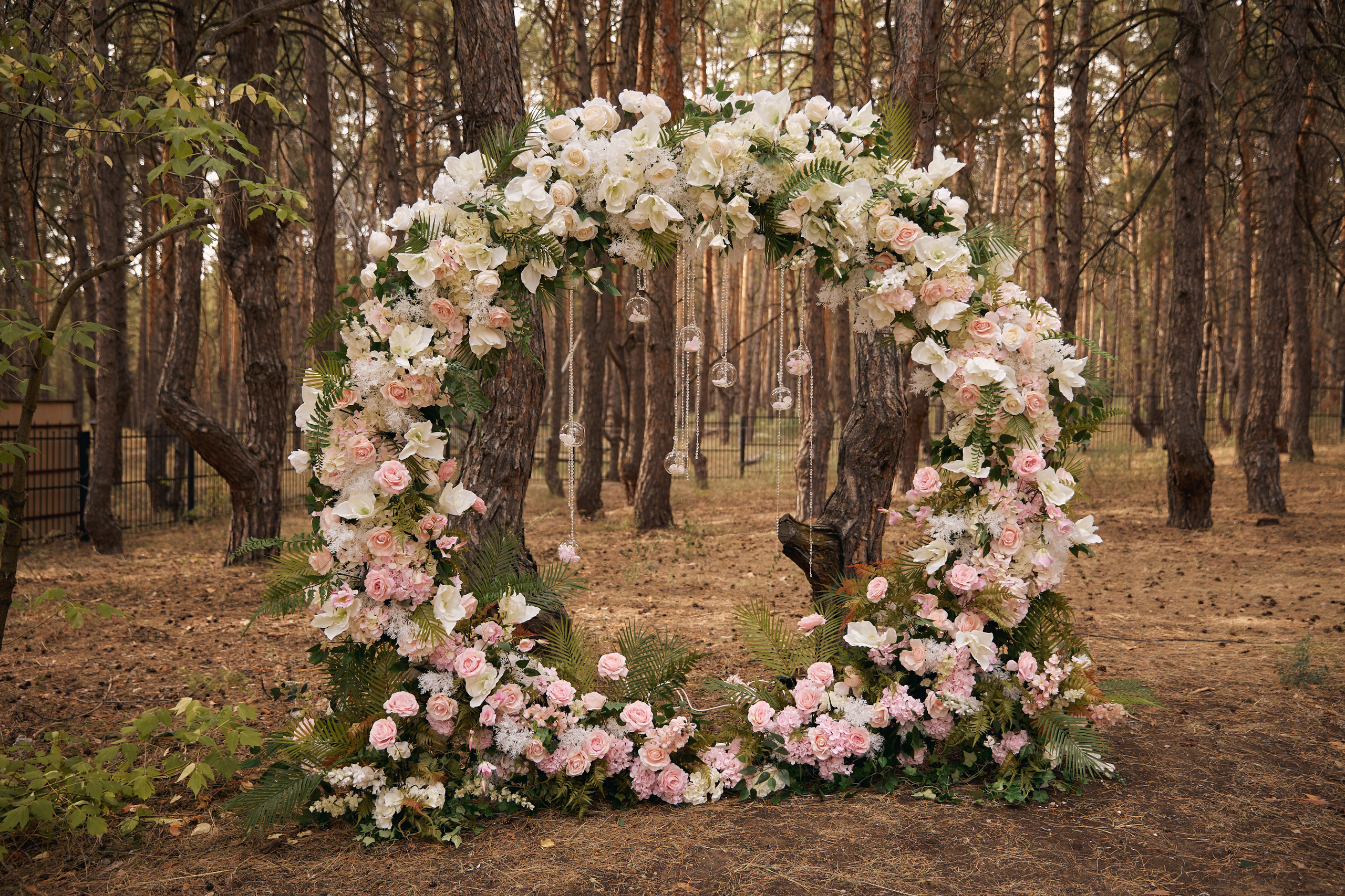 Юлия и Даниил