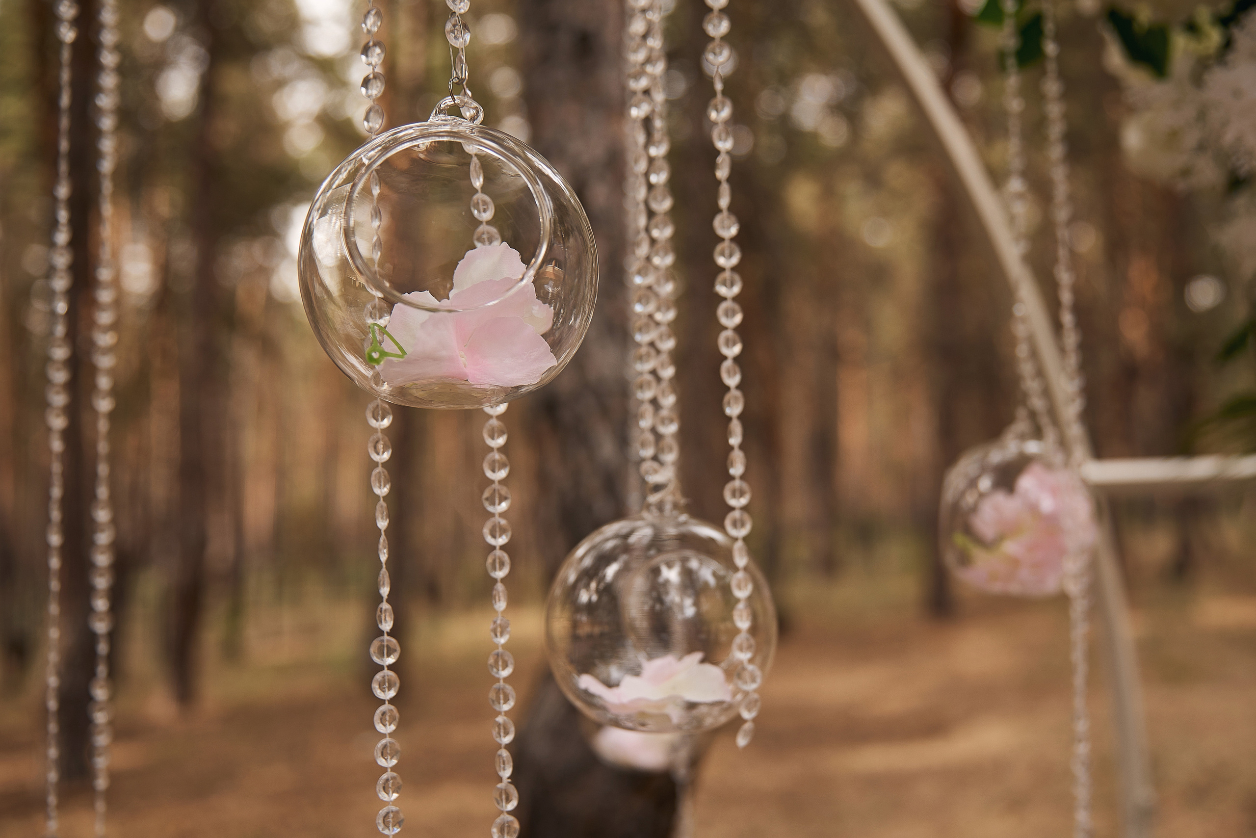 Юлия и Даниил