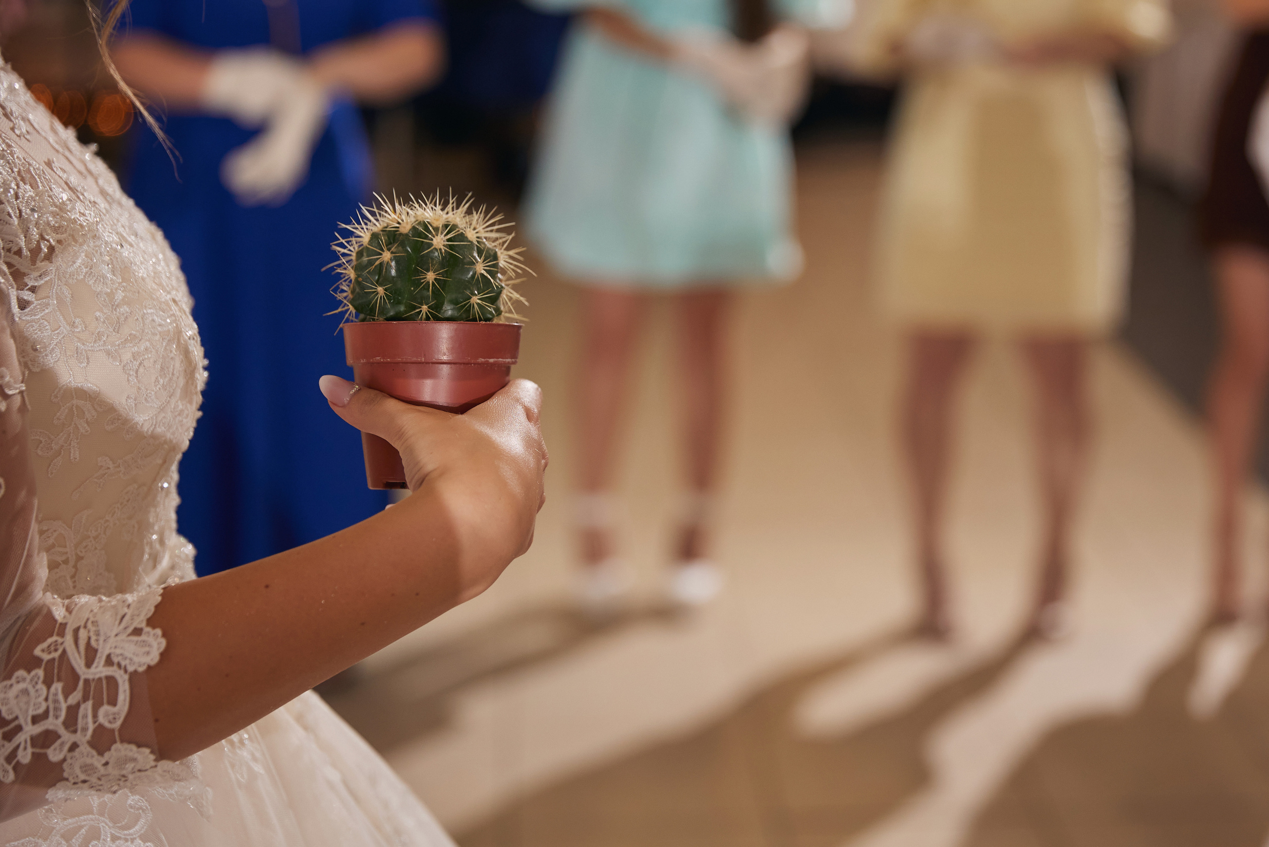 Юлия и Даниил