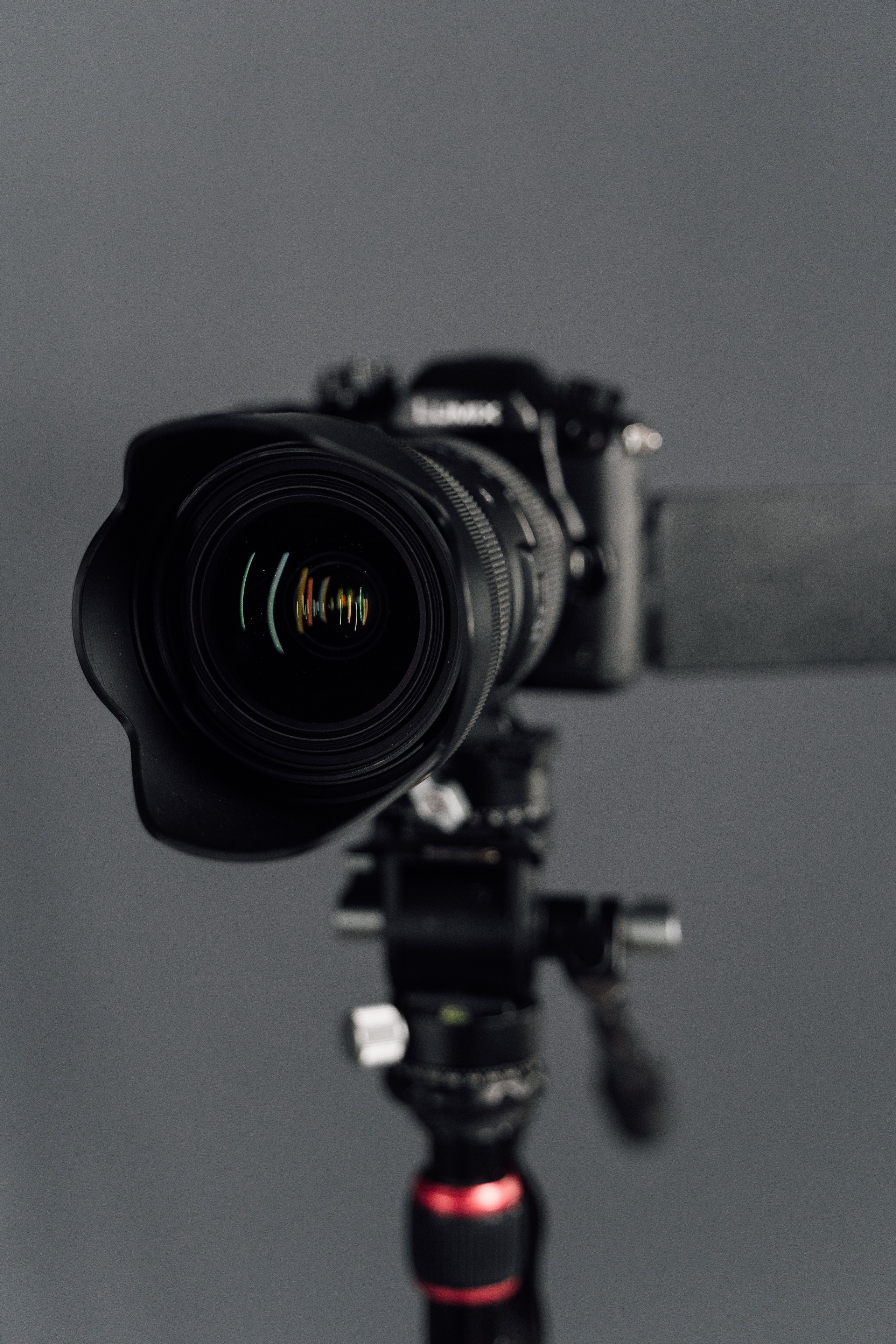 Интерьерная. Kamelia Candy фотограф Самара/ Москва