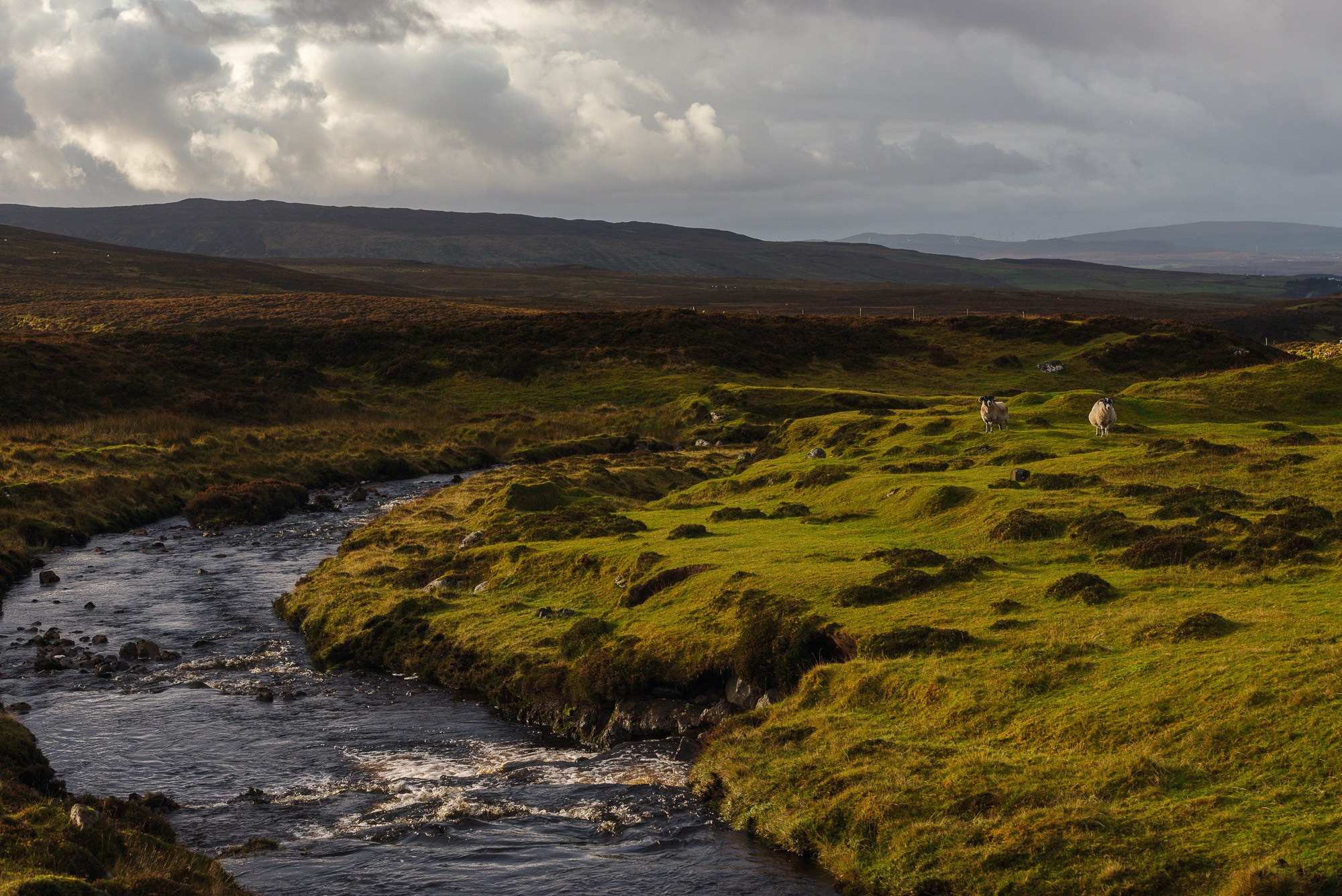 Горный пейзаж острова Скай, Шотландия, с извилистым ручьем на переднем плане и овцами, пасущимися на зеленых холмах под пасмурным небом.