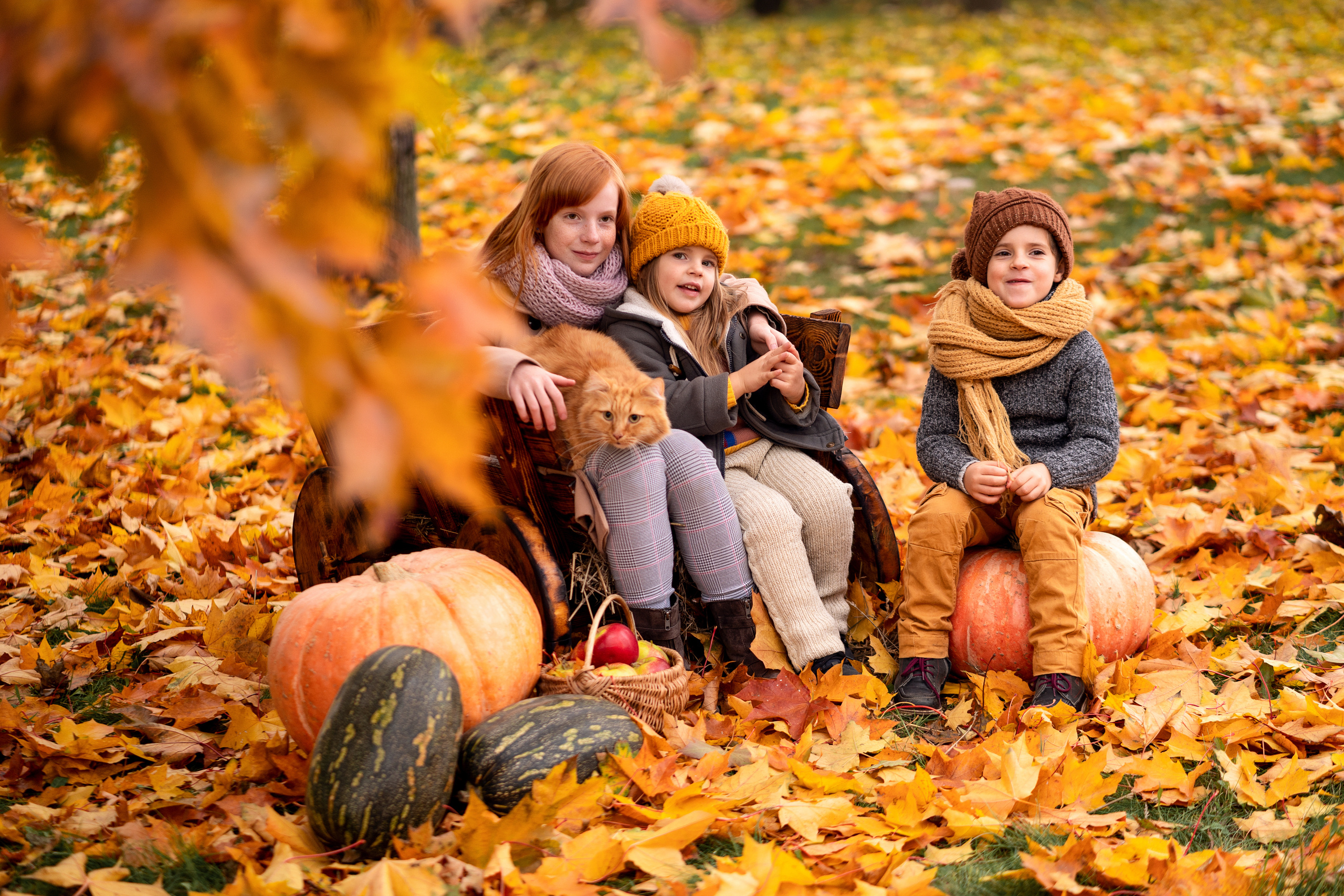 Цвета осени. Семейный и свадебный фотограф Минск, Беларусь Анна Орловская