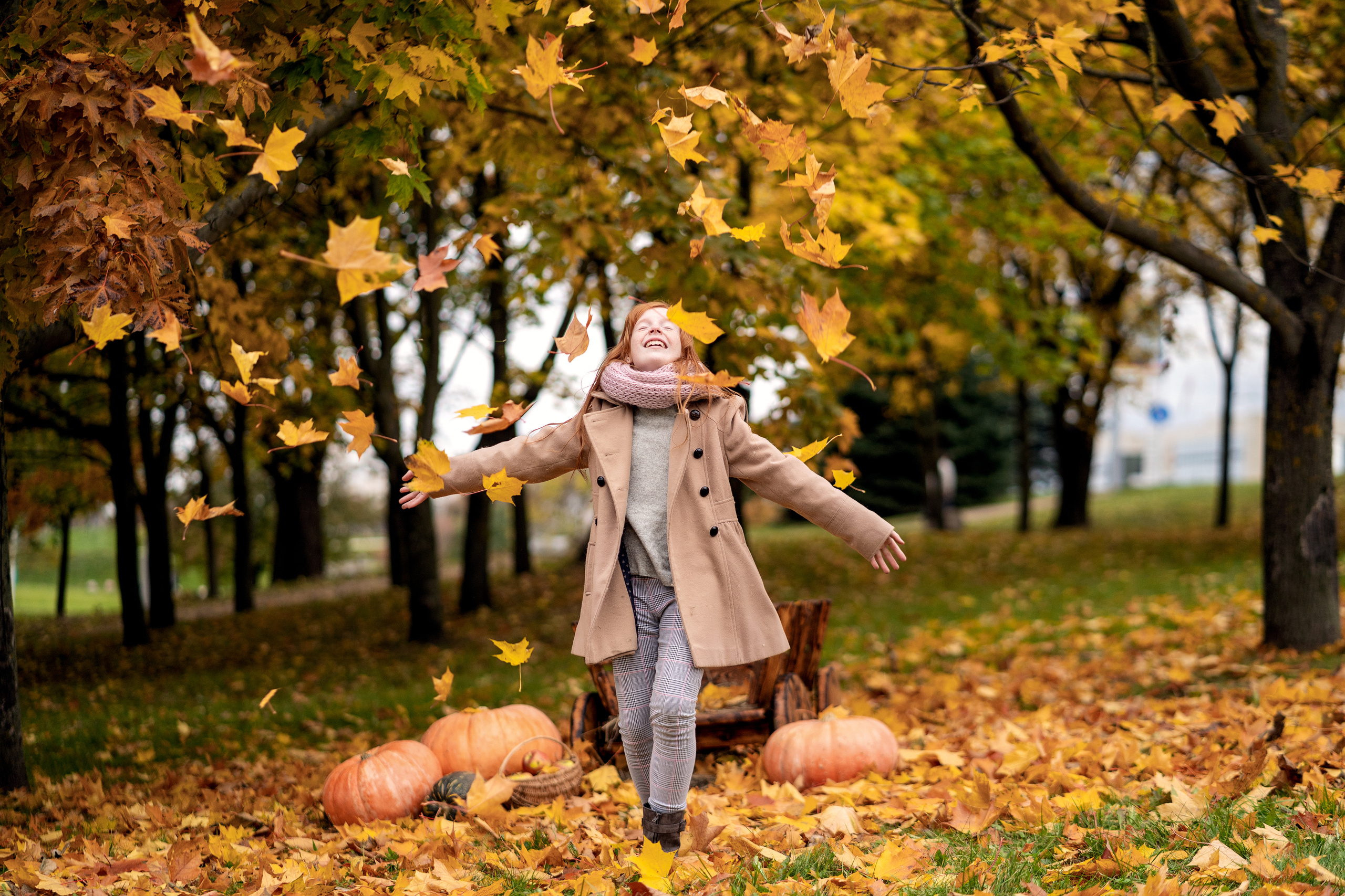 Цвета осени. Семейный и свадебный фотограф Минск, Беларусь Анна Орловская