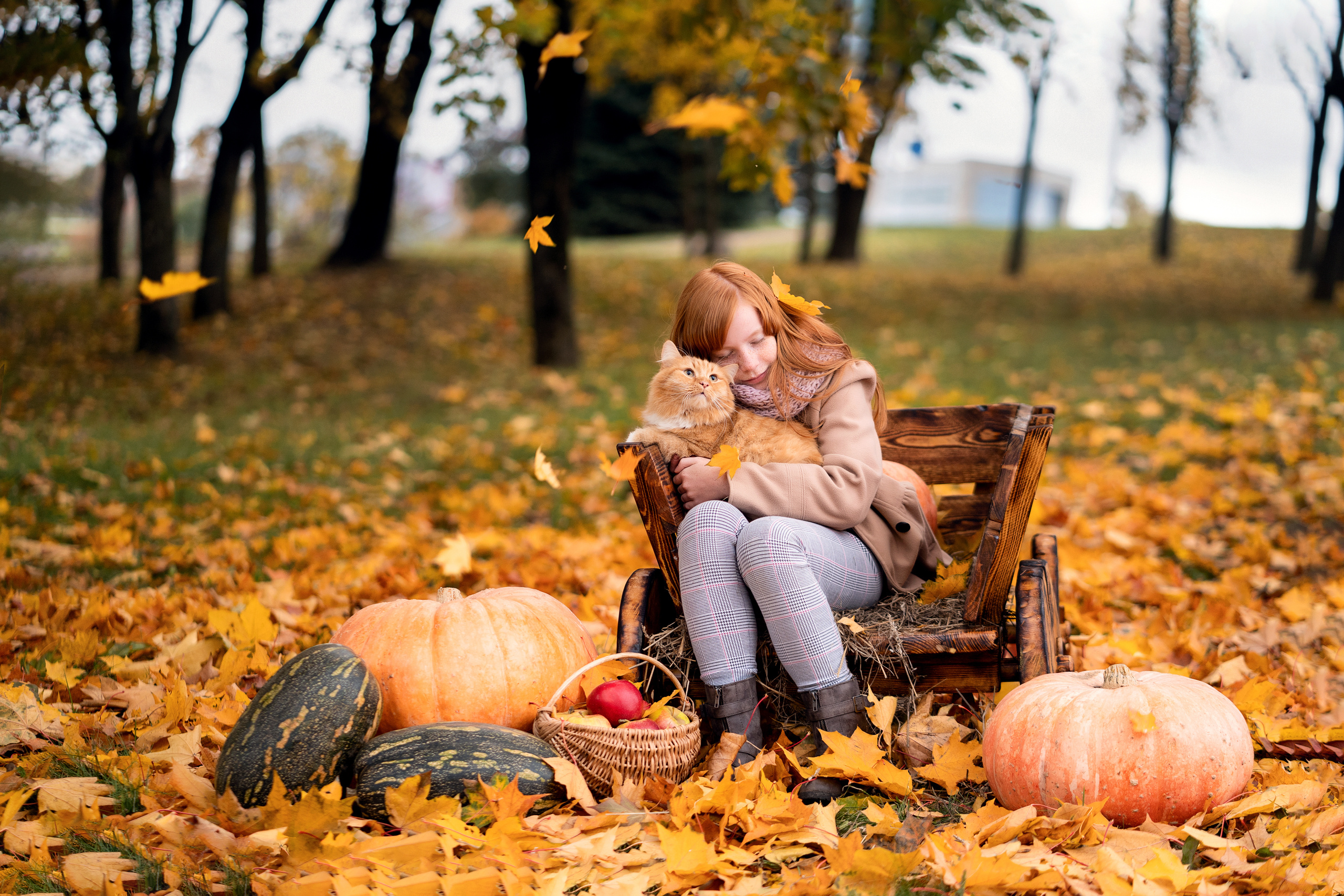 Цвета осени. Семейный и свадебный фотограф Минск, Беларусь Анна Орловская