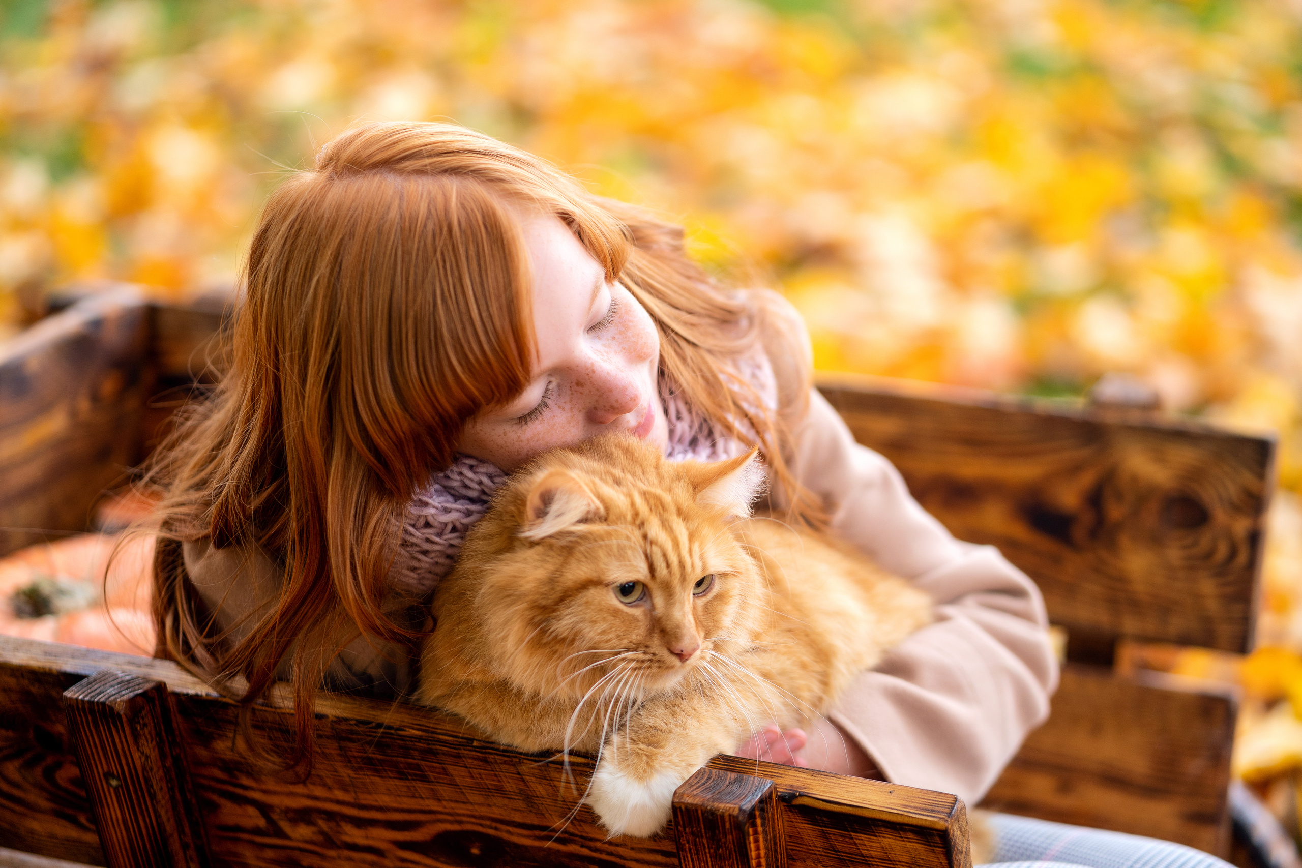 Цвета осени. Семейный и свадебный фотограф Минск, Беларусь Анна Орловская