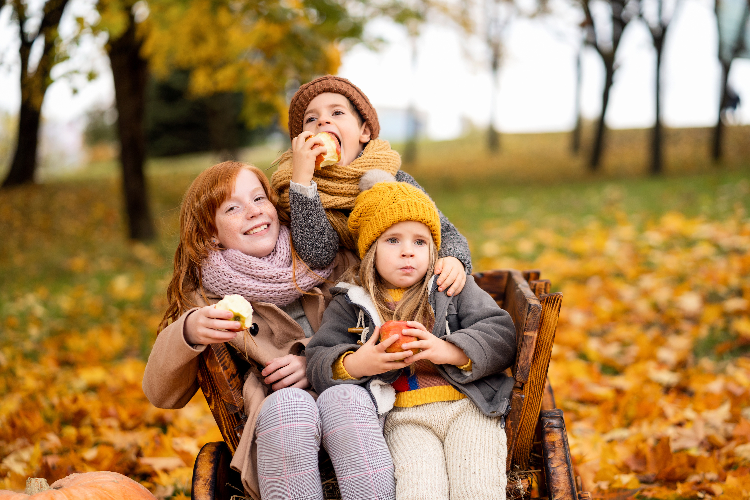 Цвета осени. Семейный и свадебный фотограф Минск, Беларусь Анна Орловская