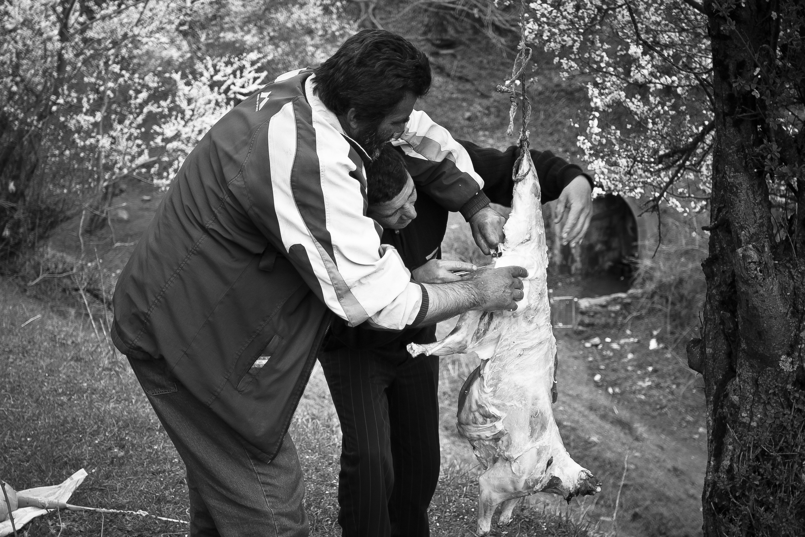 Армения. Двадцать лет спустя. Репортажный фотограф во Всеволожске и Санкт-Петербурге Владимир Капустин