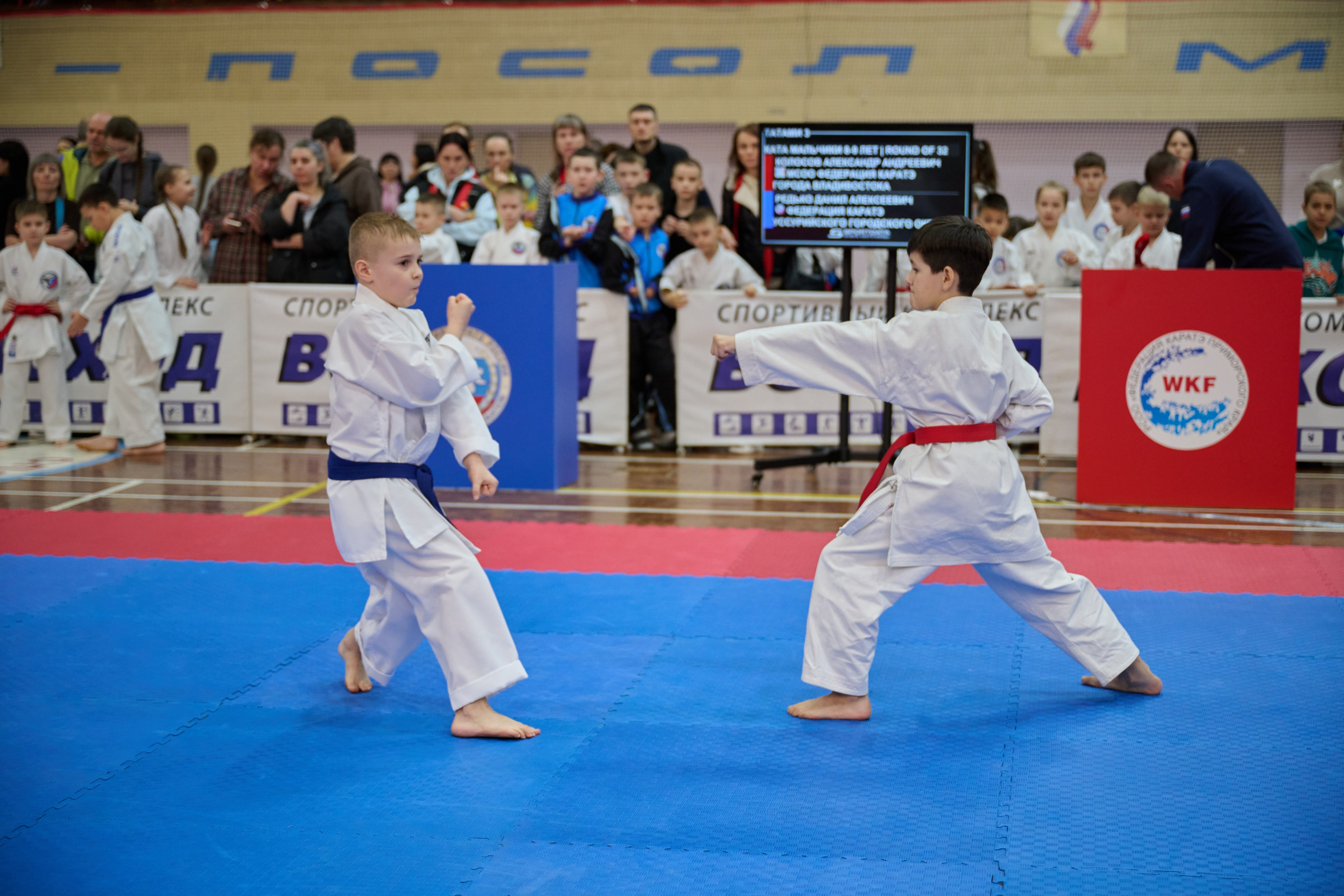 Чемпионат первенства Приморья по карате 28.03.26. Профессиональный репортажный фотограф Инесса Иминова