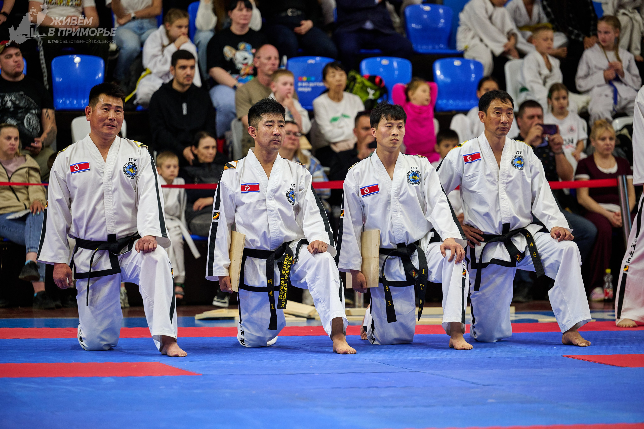 Кубок губернатора по тхэквондо. Профессиональный репортажный фотограф Инесса Иминова