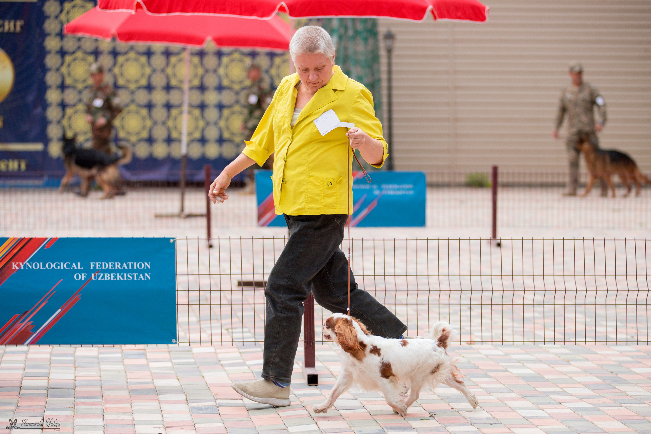 Ташкент 6-8.10.2023 + Алматы 14-15.10.2023. Фотограф-анималист Юлия Германика