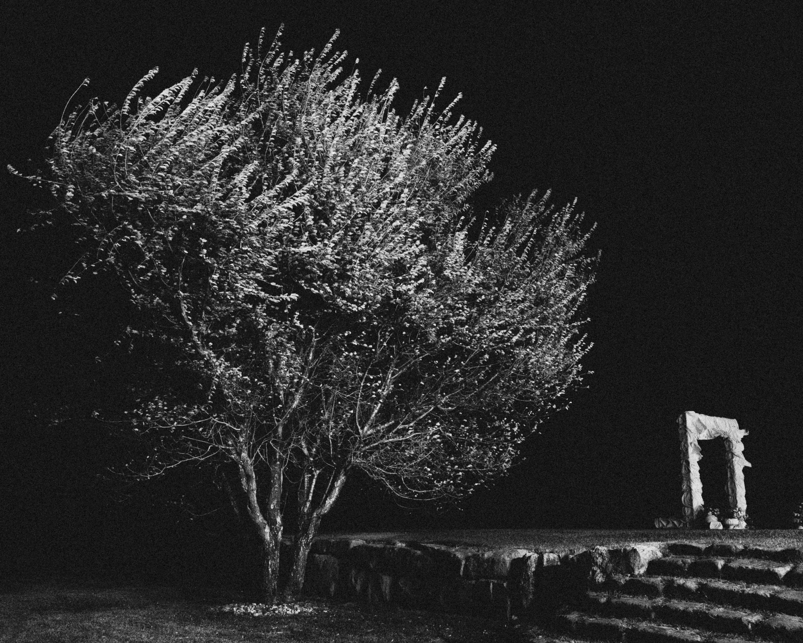 Сказка. Геленджик. 2025. Никита Погосов