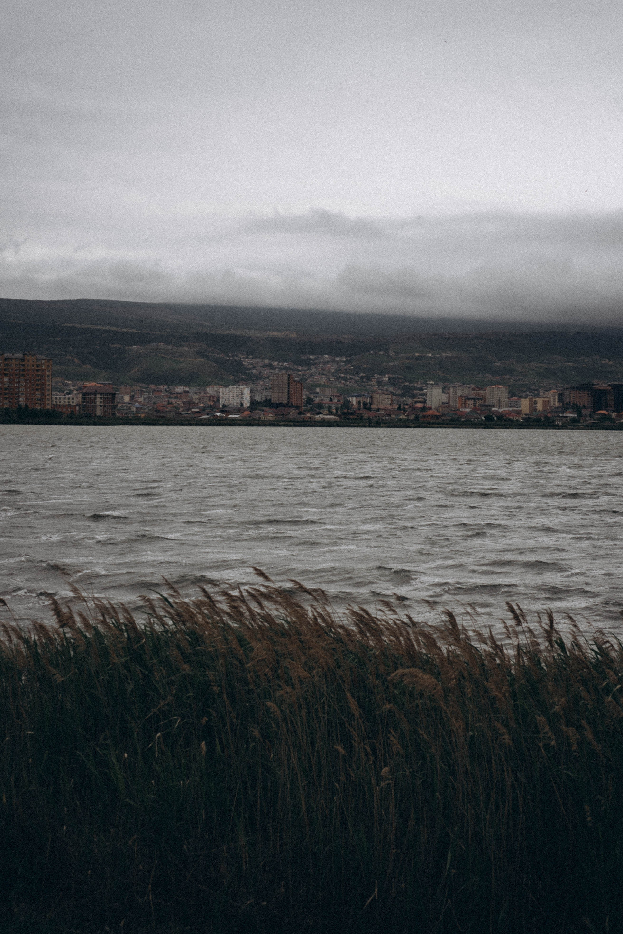 Кавказ. Профессиональный фотограф, Санкт-Петербург — Виктория Богомолова