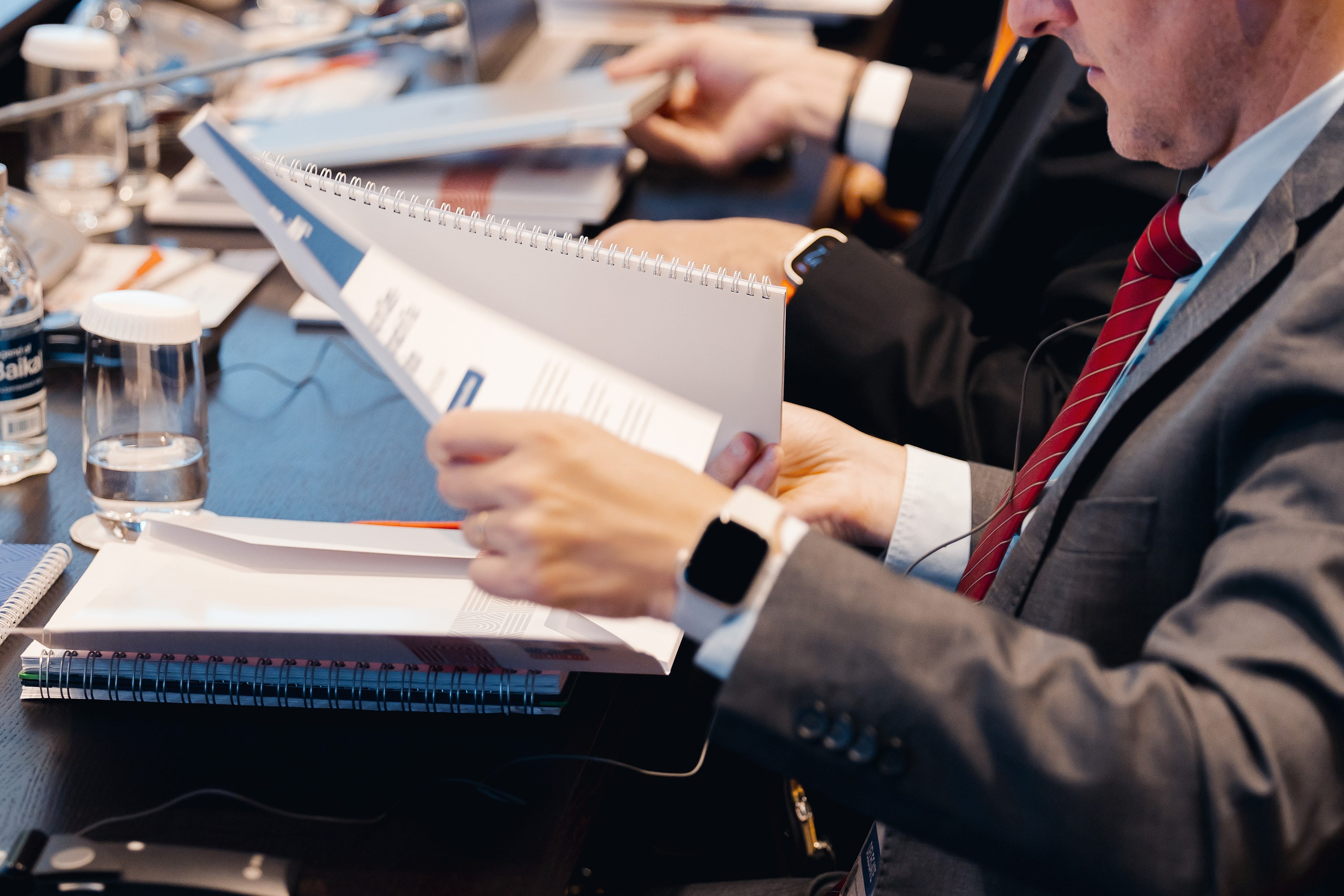 БРИКС ФНС. Parezhevphoto.ru