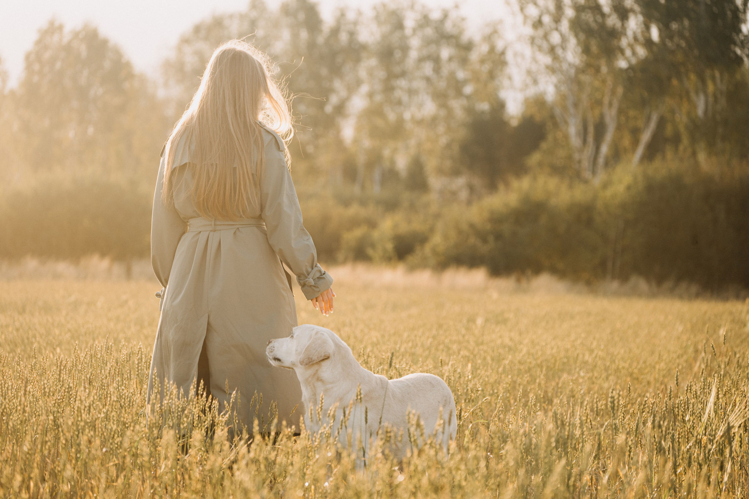 Дана и Арчи. Фотограф-анималист Анастасия Большакова