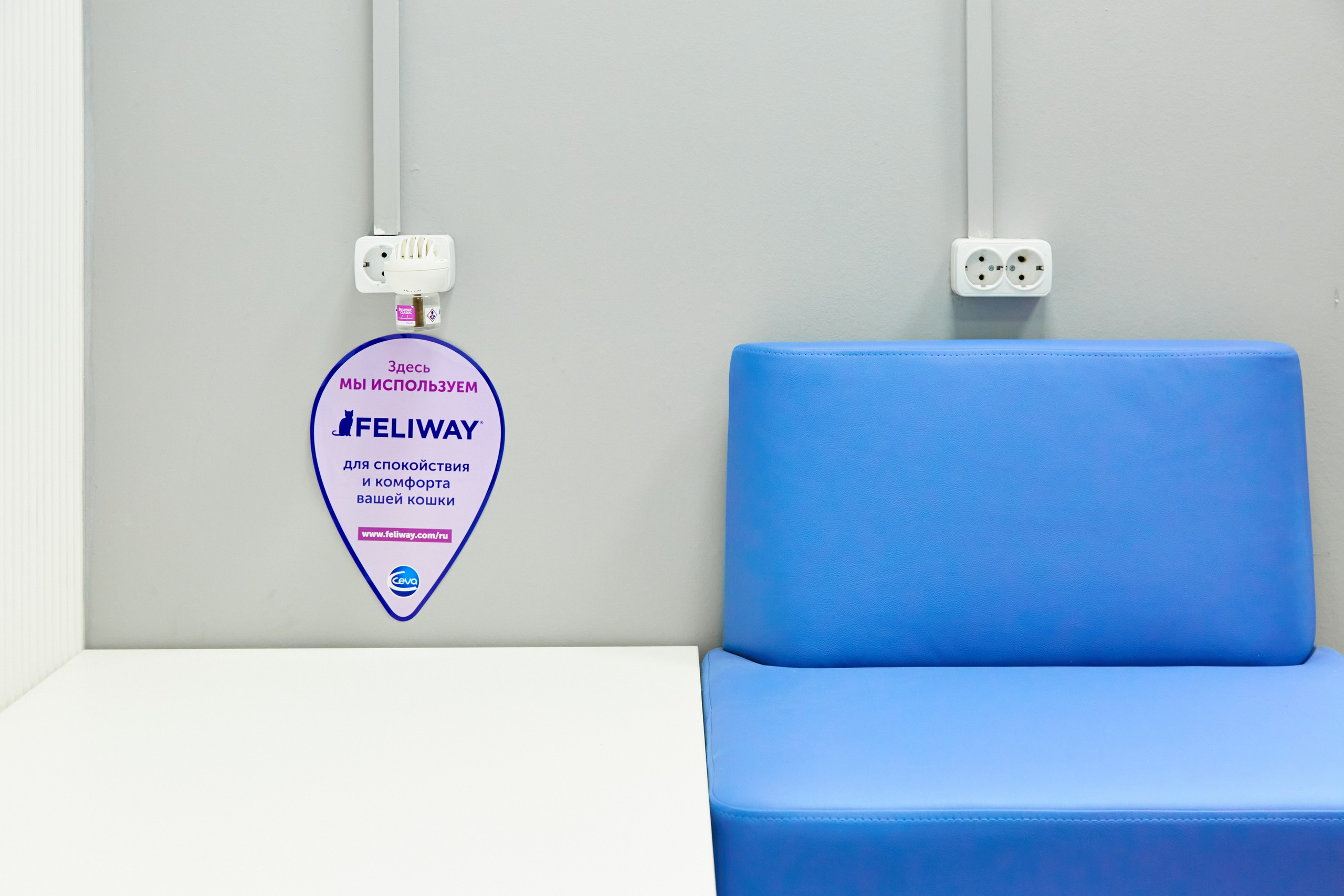 Клиника кошек. Фотограф Анастасия Леонтьева Санкт-Петербург