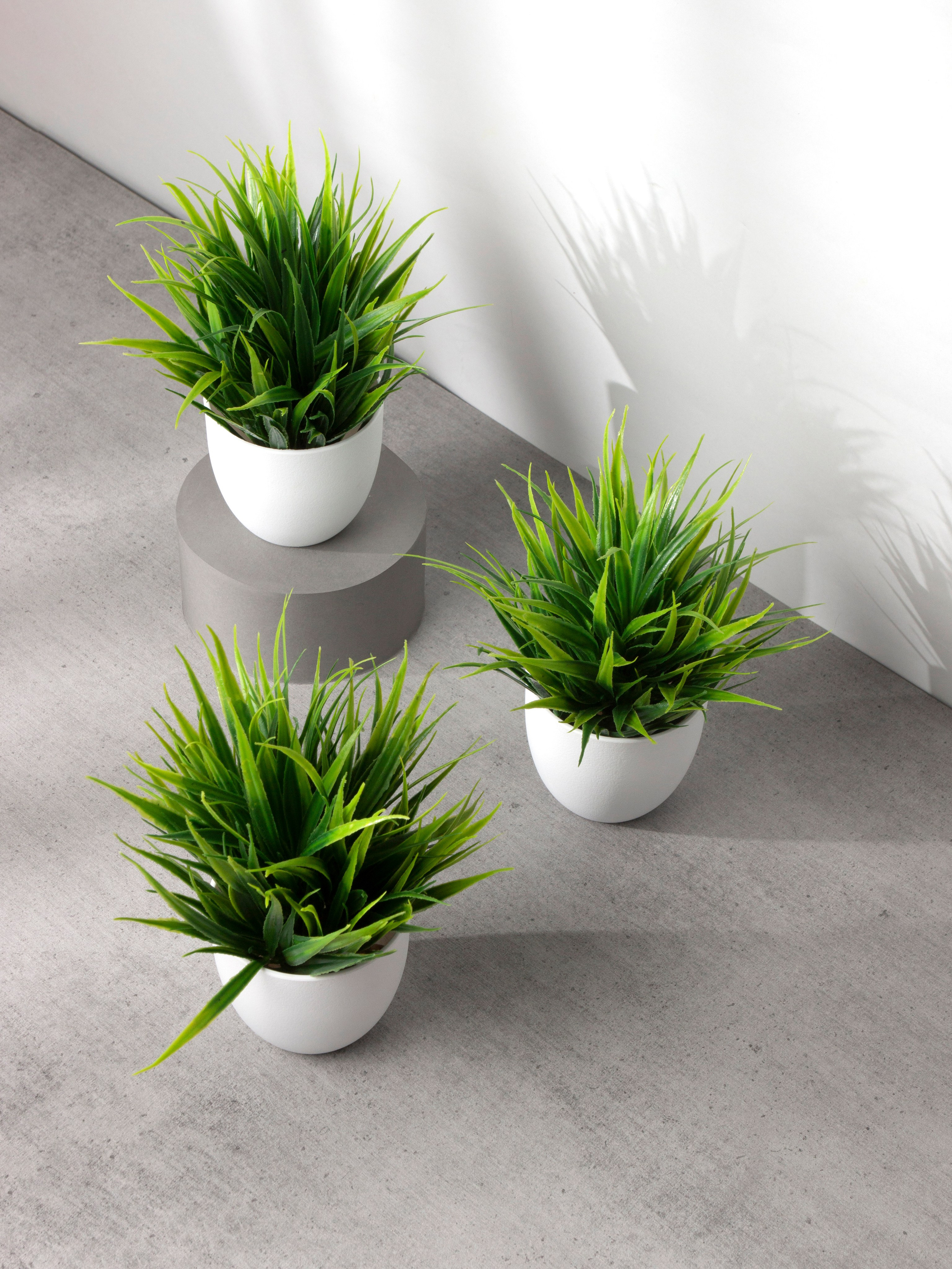 Декор для дома. Фотограф Злата Спицына