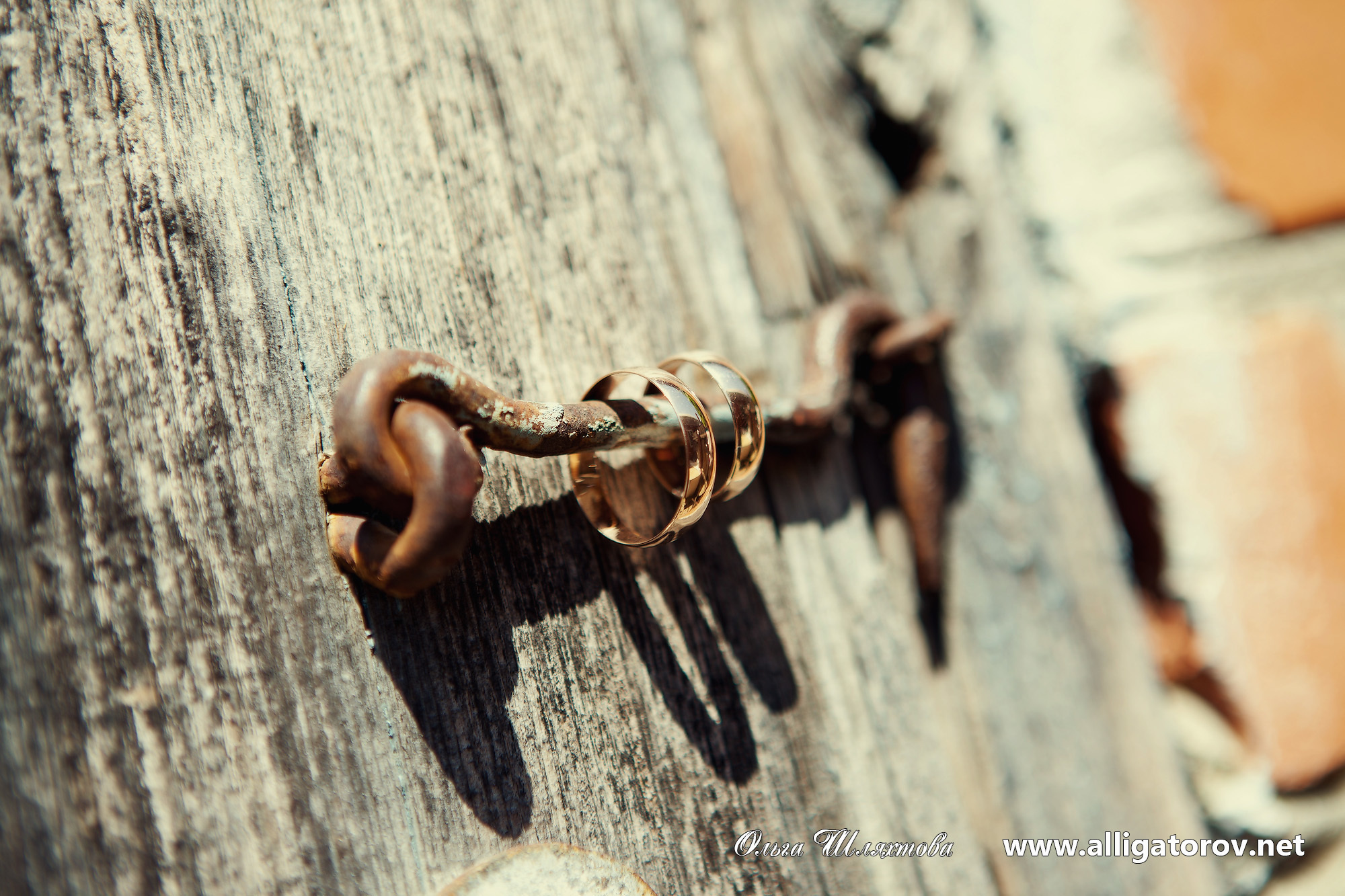 Фотограф на свадьбу