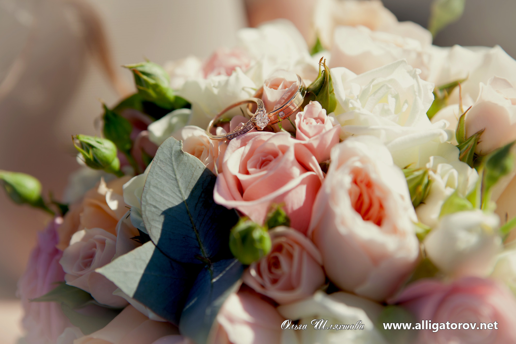 Фотограф на свадьбу