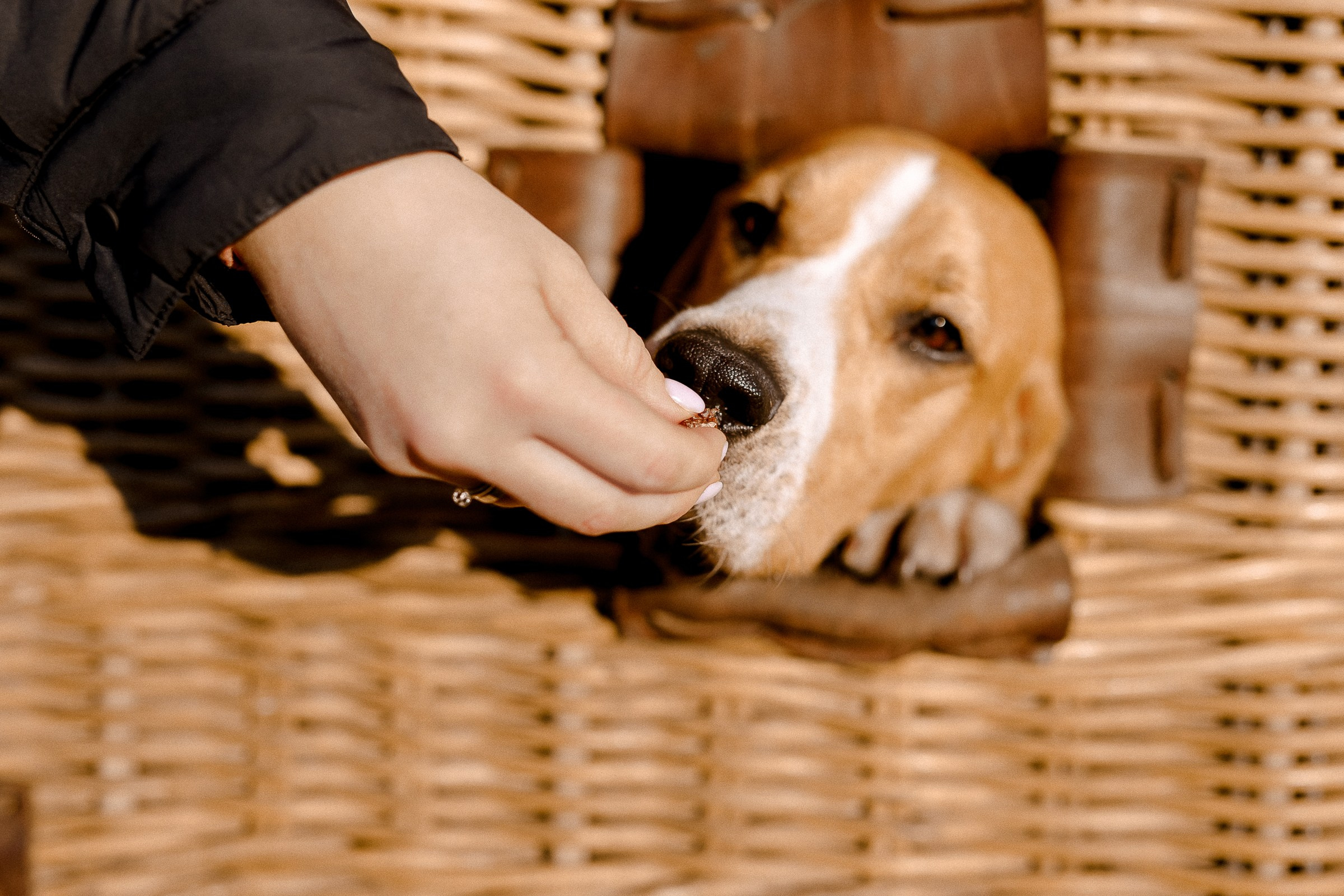Lovestory на воздушном шаре. VERSLIBRE | Свадебный и репортажный фотограф в Санкт-Петербурге