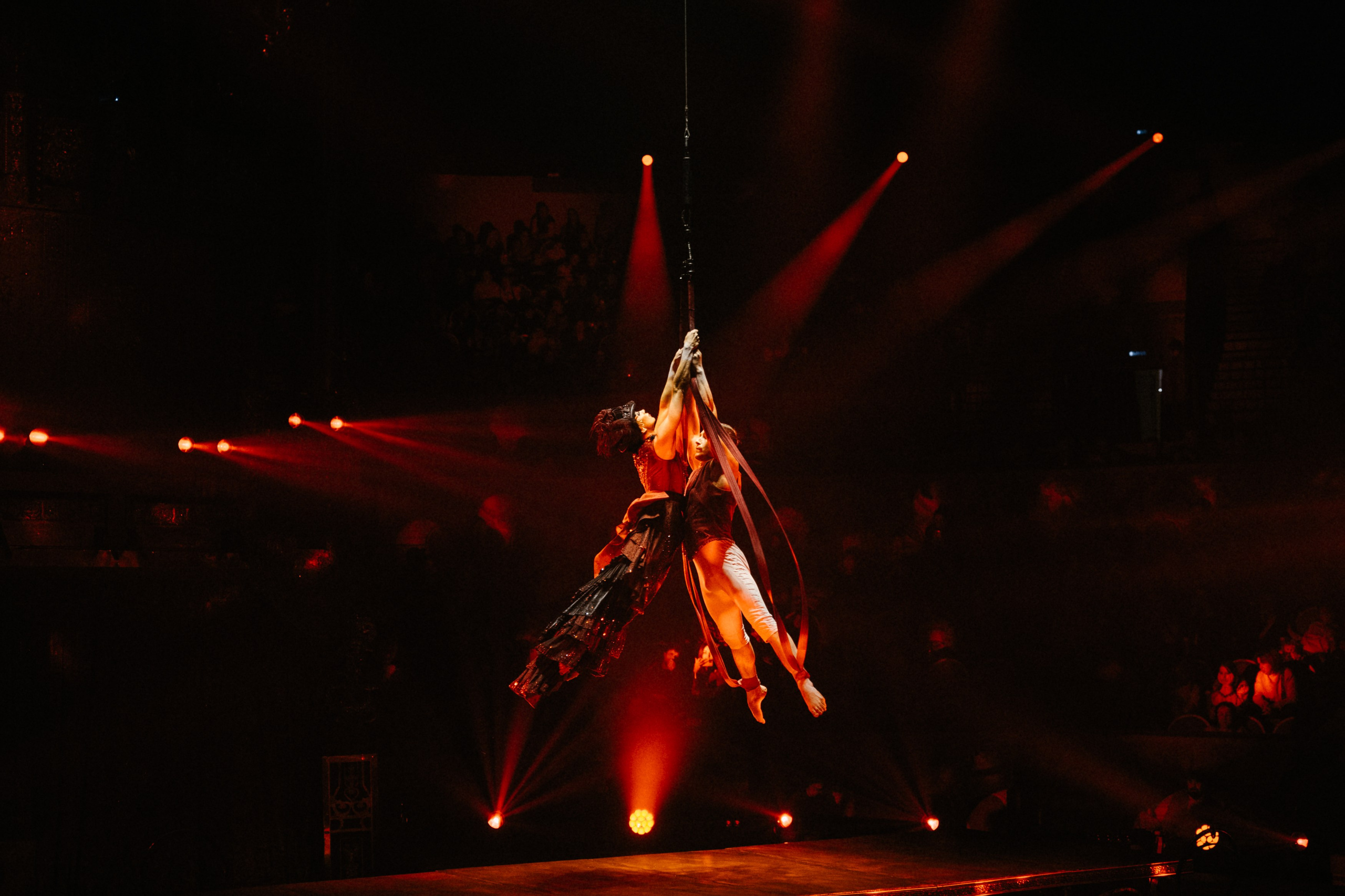 Королевский Цирк Гии Эрадзе. Репортажный и портретный фотограф в Санкт-Петербурге Степлевич Дарья