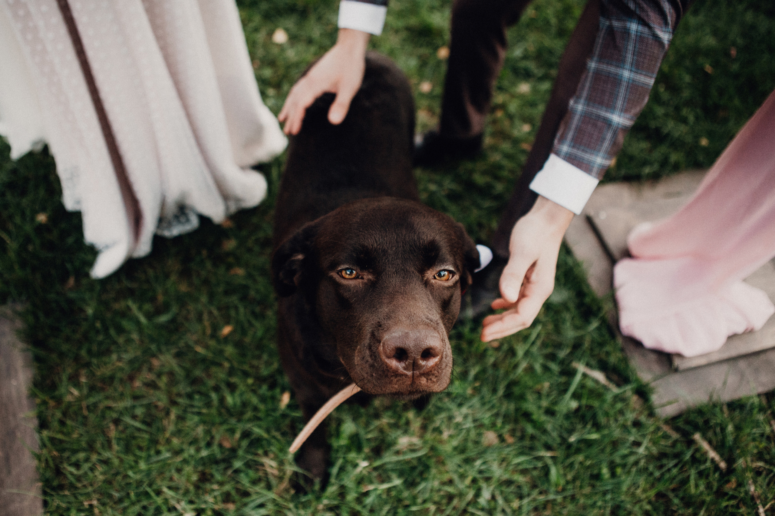 Катя & Виктор. Свадебное фото и видео Москва Кристина Музыка