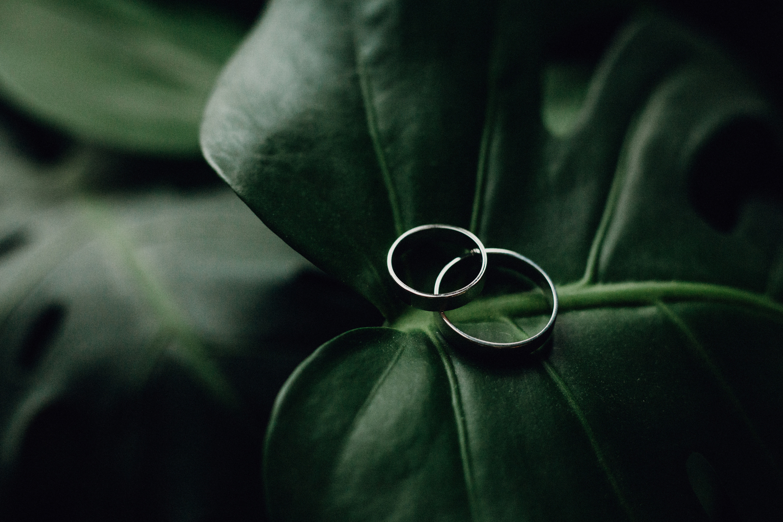 Екатерина и Владимир. Свадебное фото и видео Москва Кристина Музыка