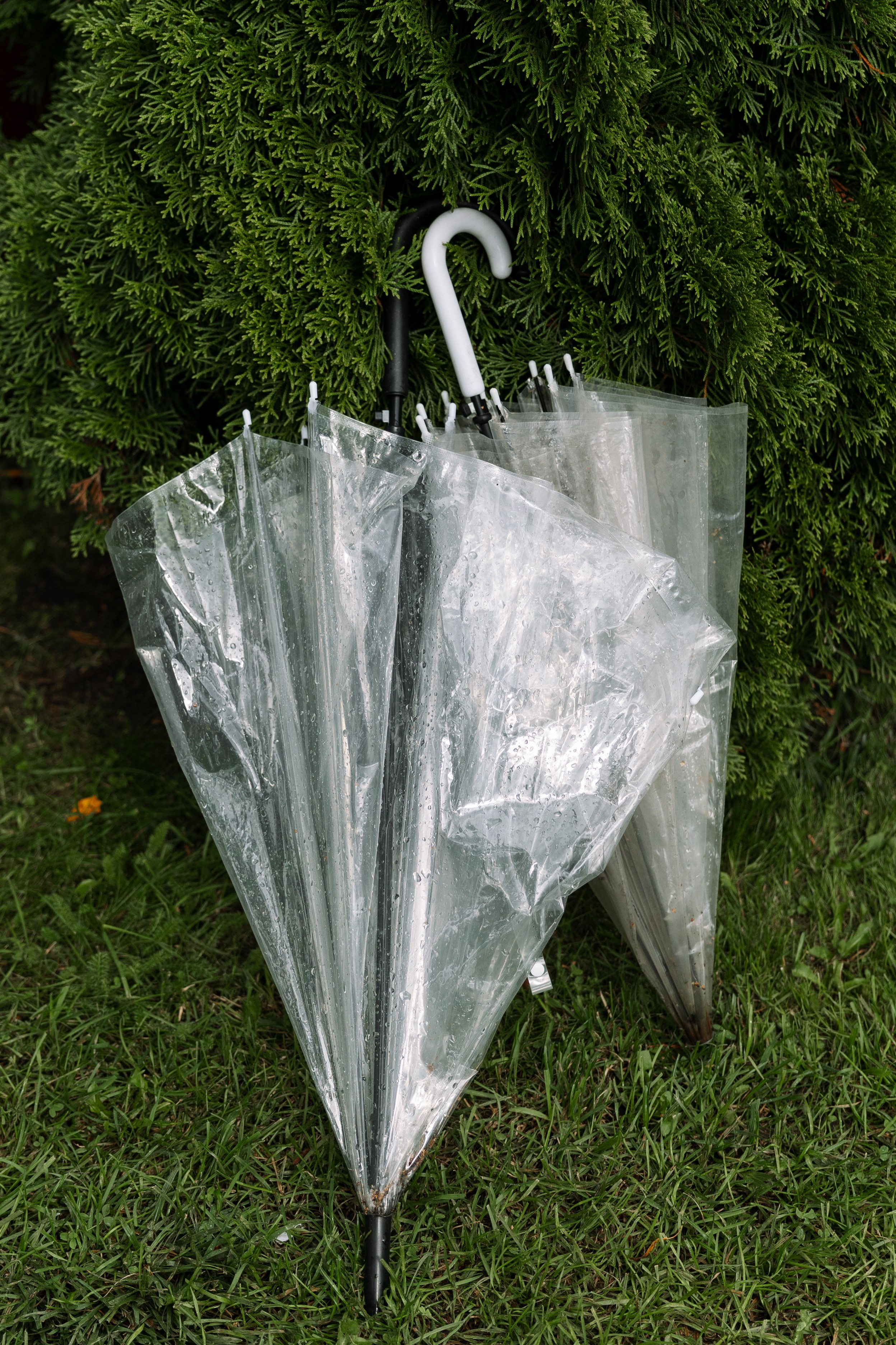 Катя & Иван. Оформление свадеб, декор свадеб Вера Маркова, Москва