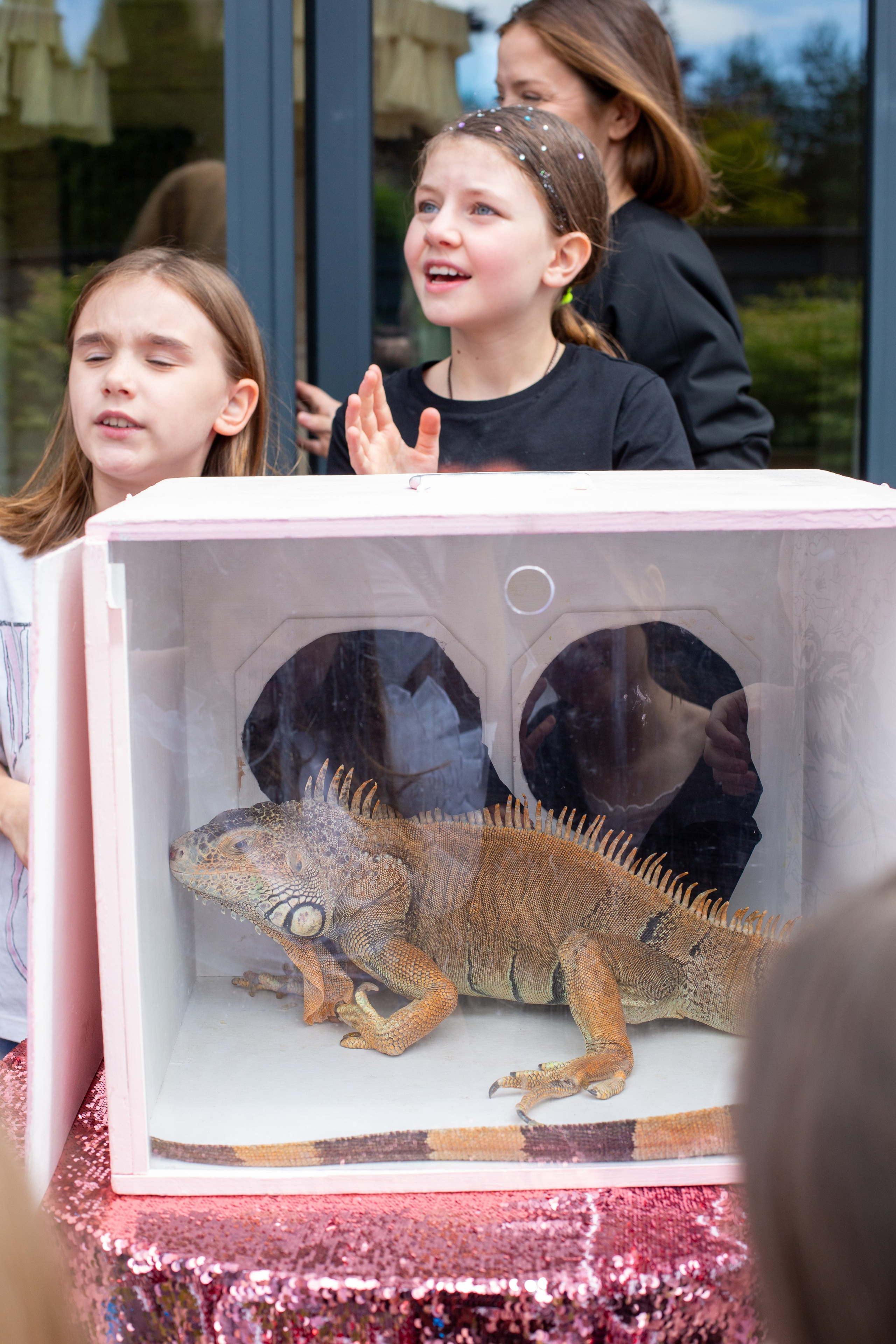 Мира. Детский и школьный фотограф