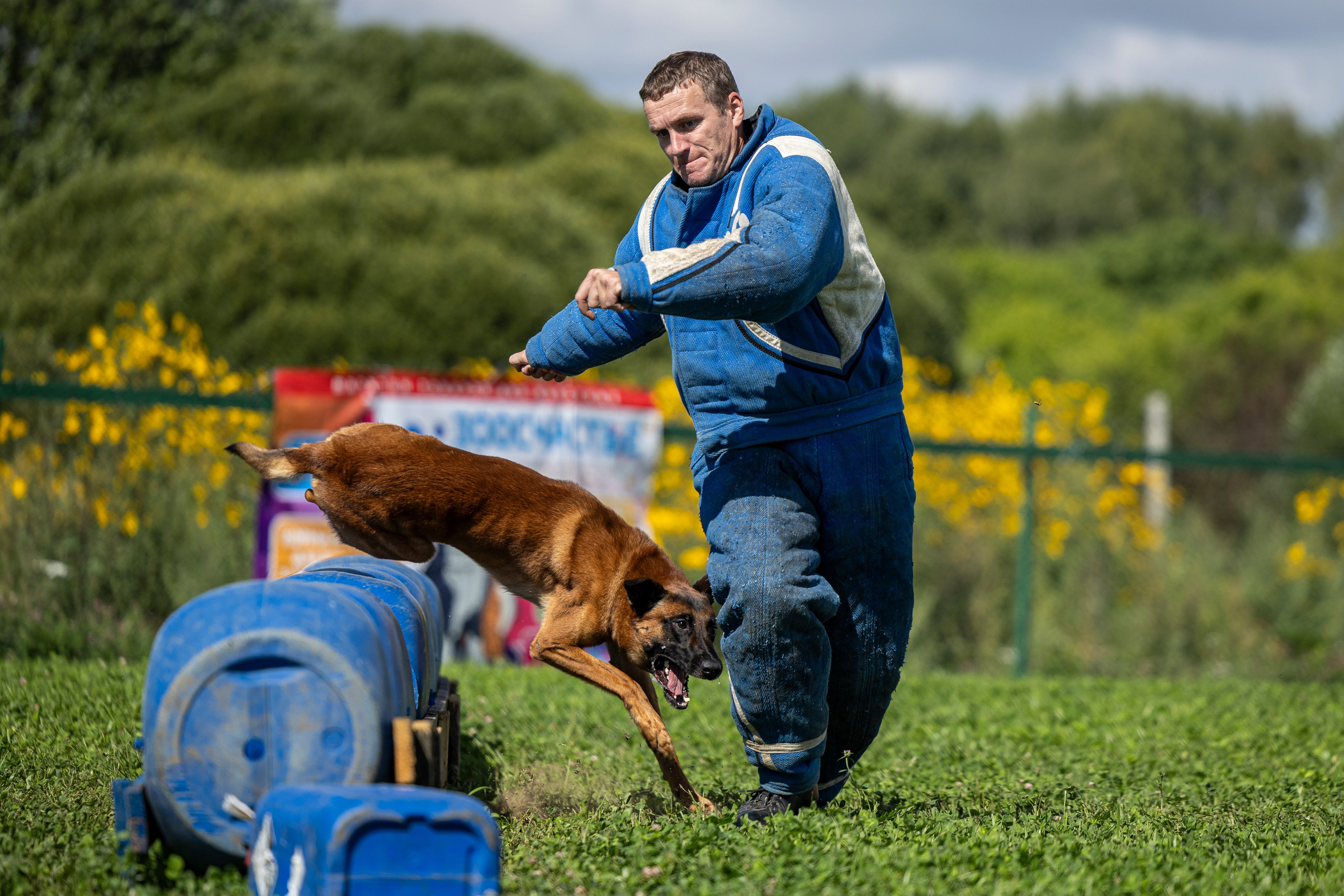 Соревнования по Мондьорингу г. Вологда 10-11.08.2024. Фотограф-анималист Анна Маринич