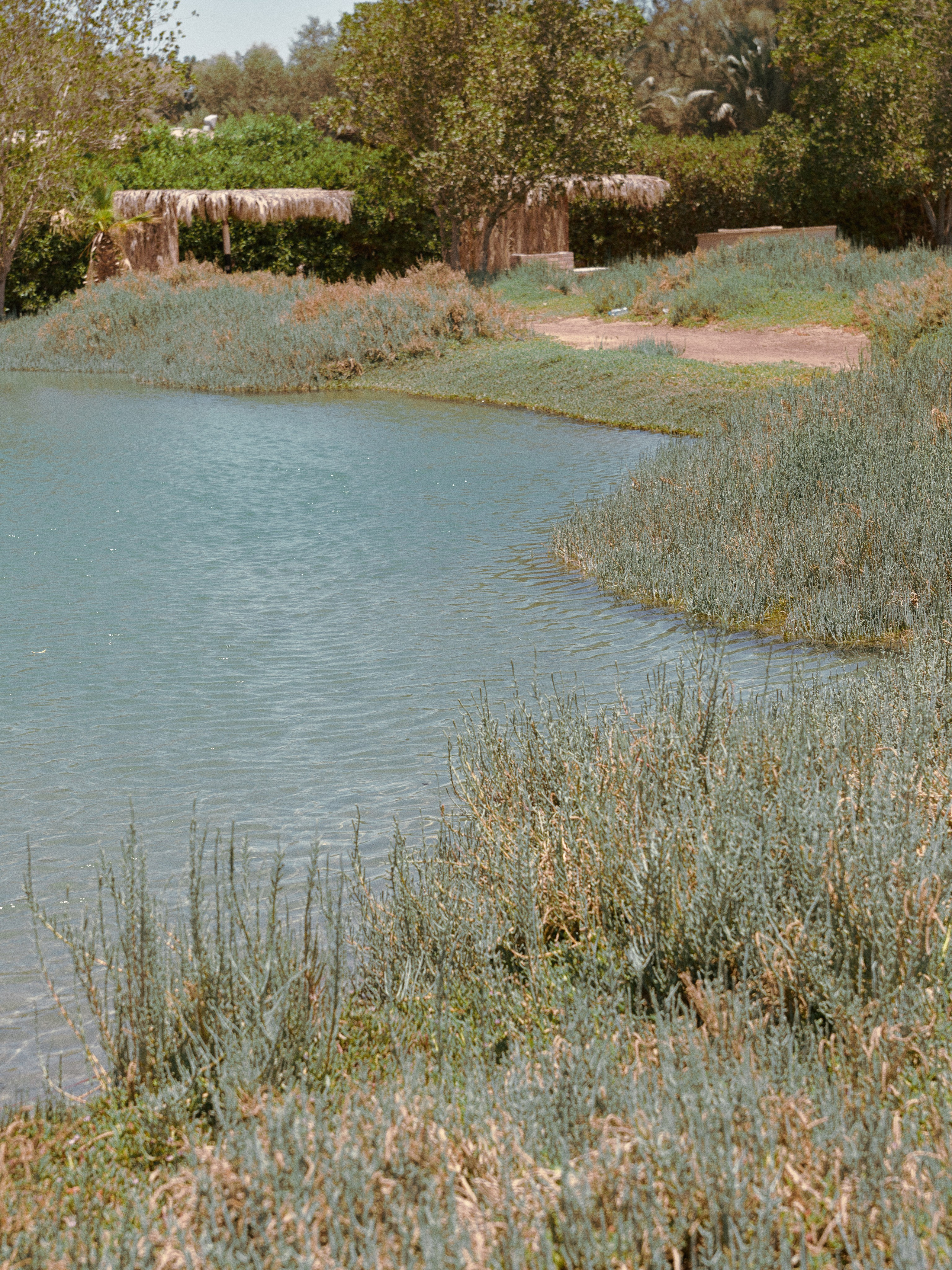 Другое. Jorgis Talè — photographer, kind person, teacher of arts and other mag