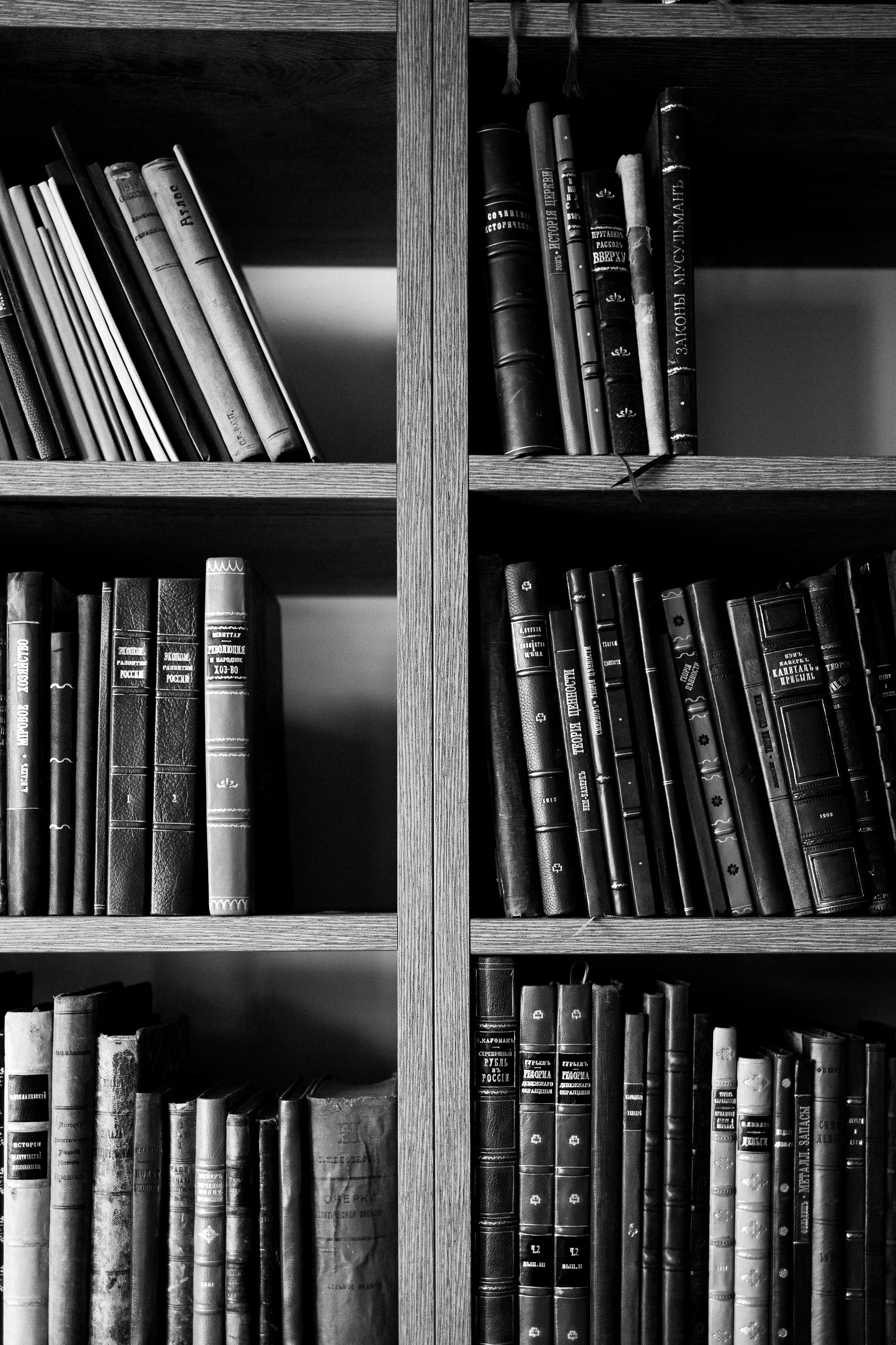 Даша. Фотограф в Выборге и Санкт-Петербурге Маша Гуляева