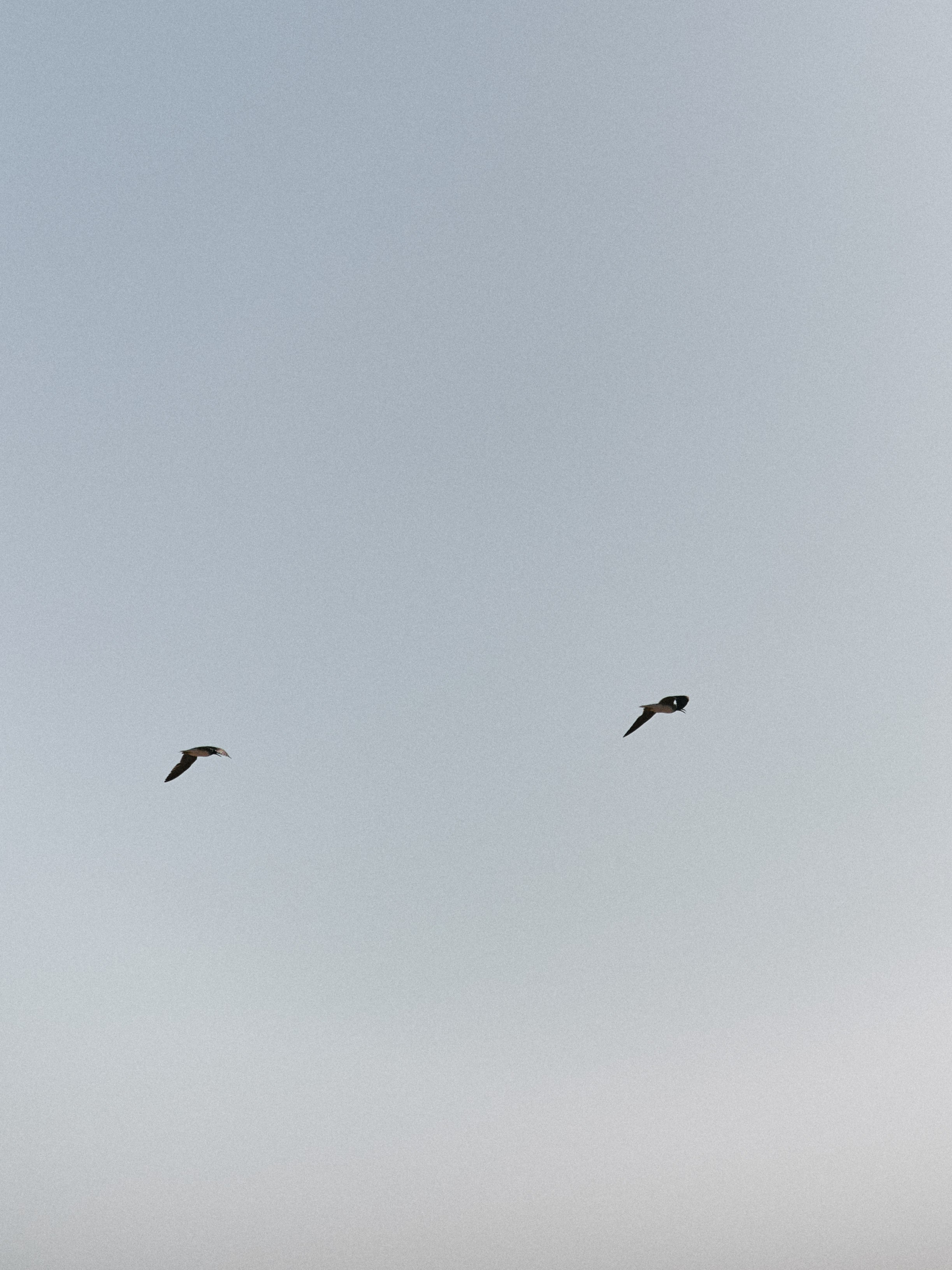 Природа. Jorgis Talè — photographer, kind person, teacher of arts and other mag