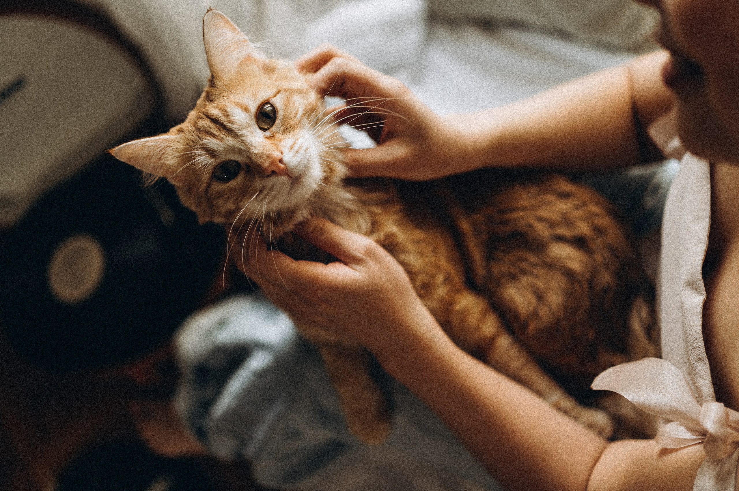 Катя+Вова=любовь. Семейный фотограф Ростов-на-Дону Татьяна Соколова