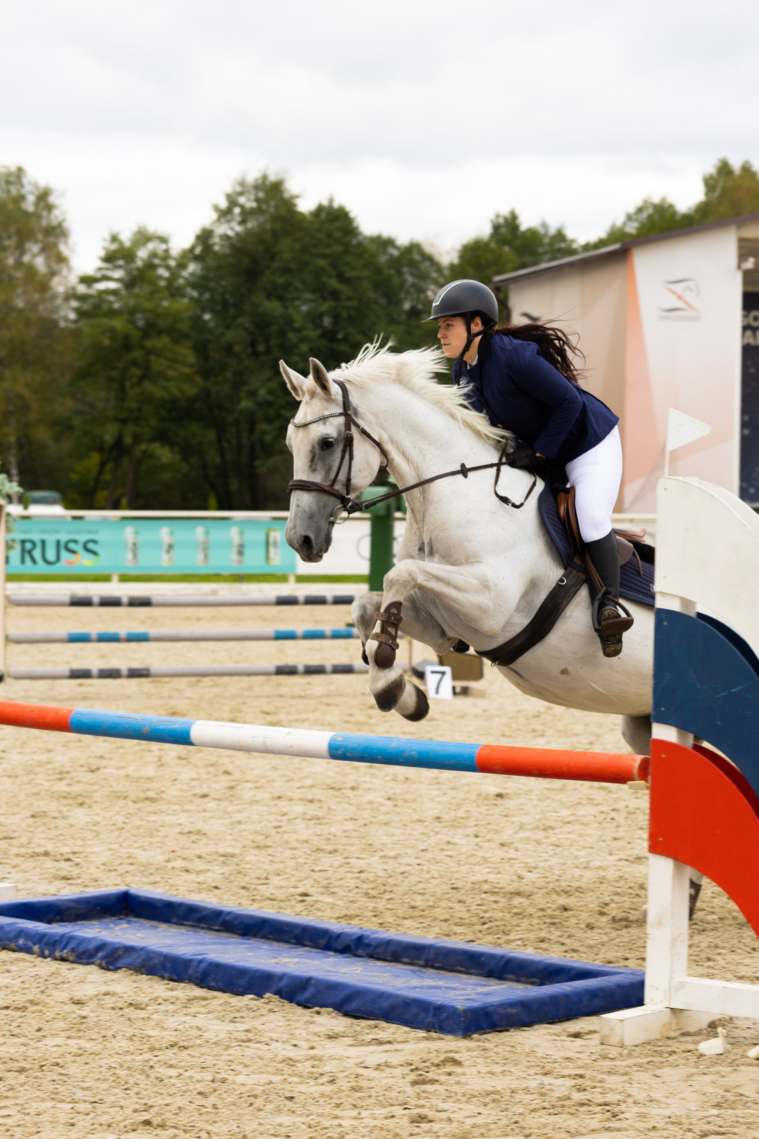 Соревнования по конкуру. Фотограф в Москве Светлана Богначева