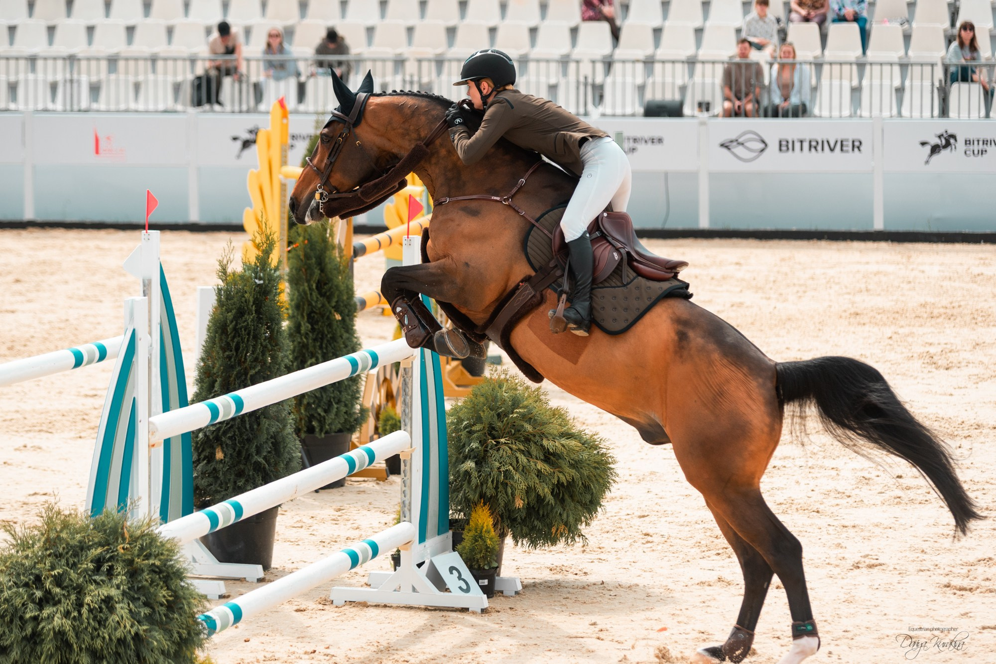 BITRIVER CUP 2023. Конный фотограф Куракина Дарья • Фотосессии с лошадьми