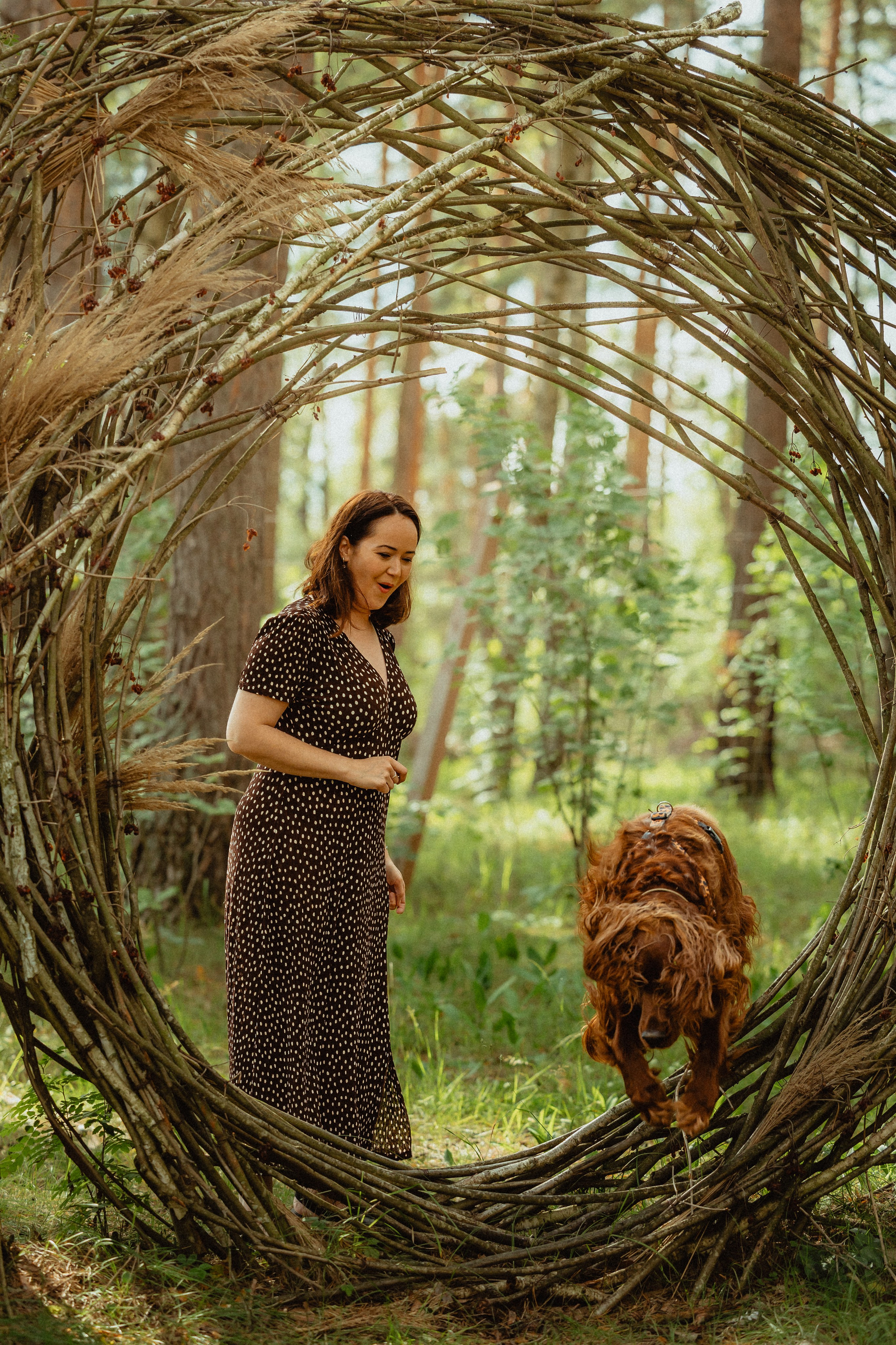 Выездной дог-тренинг от школы «Шерсть имею»