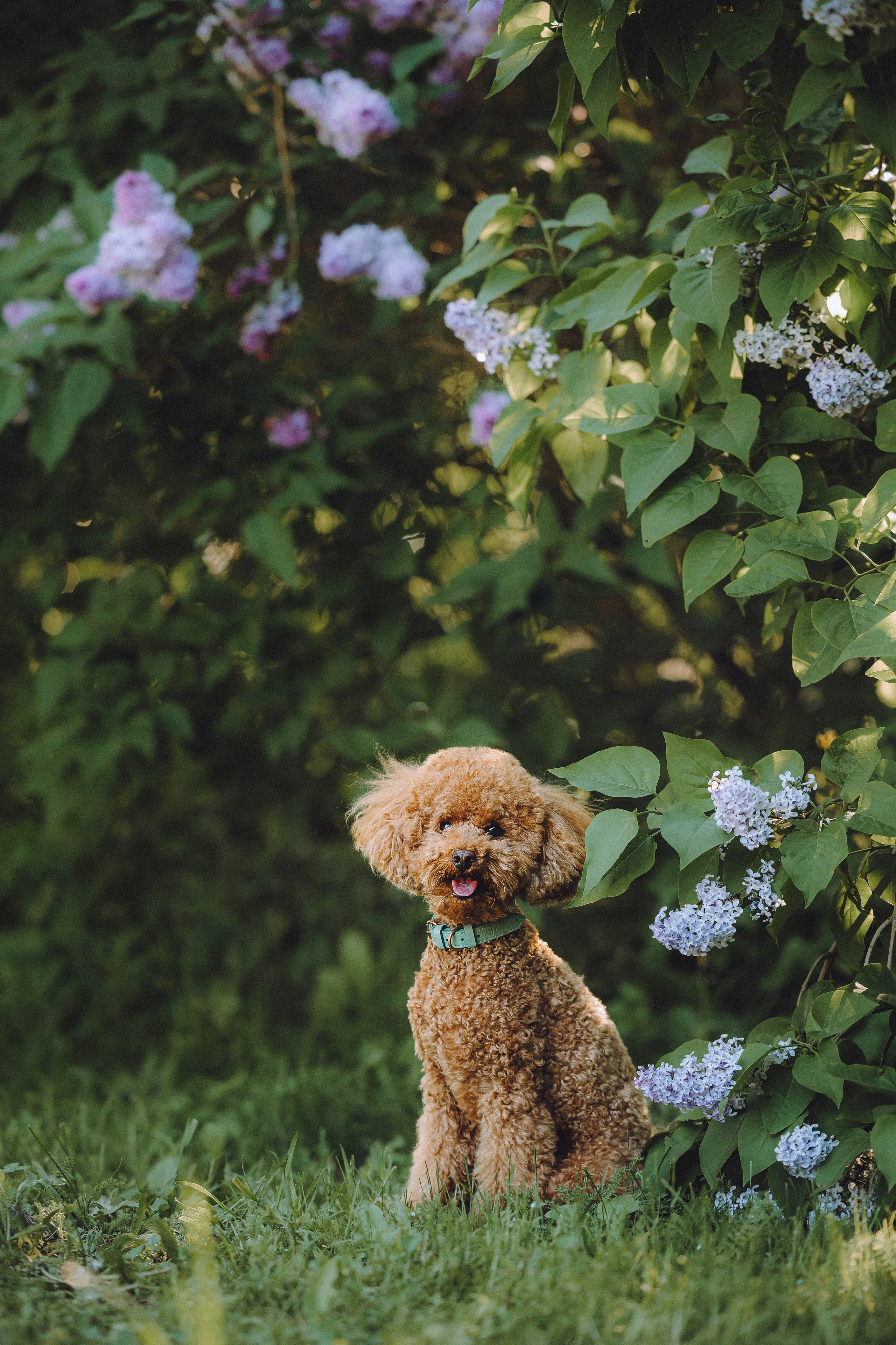 Марья и Буба