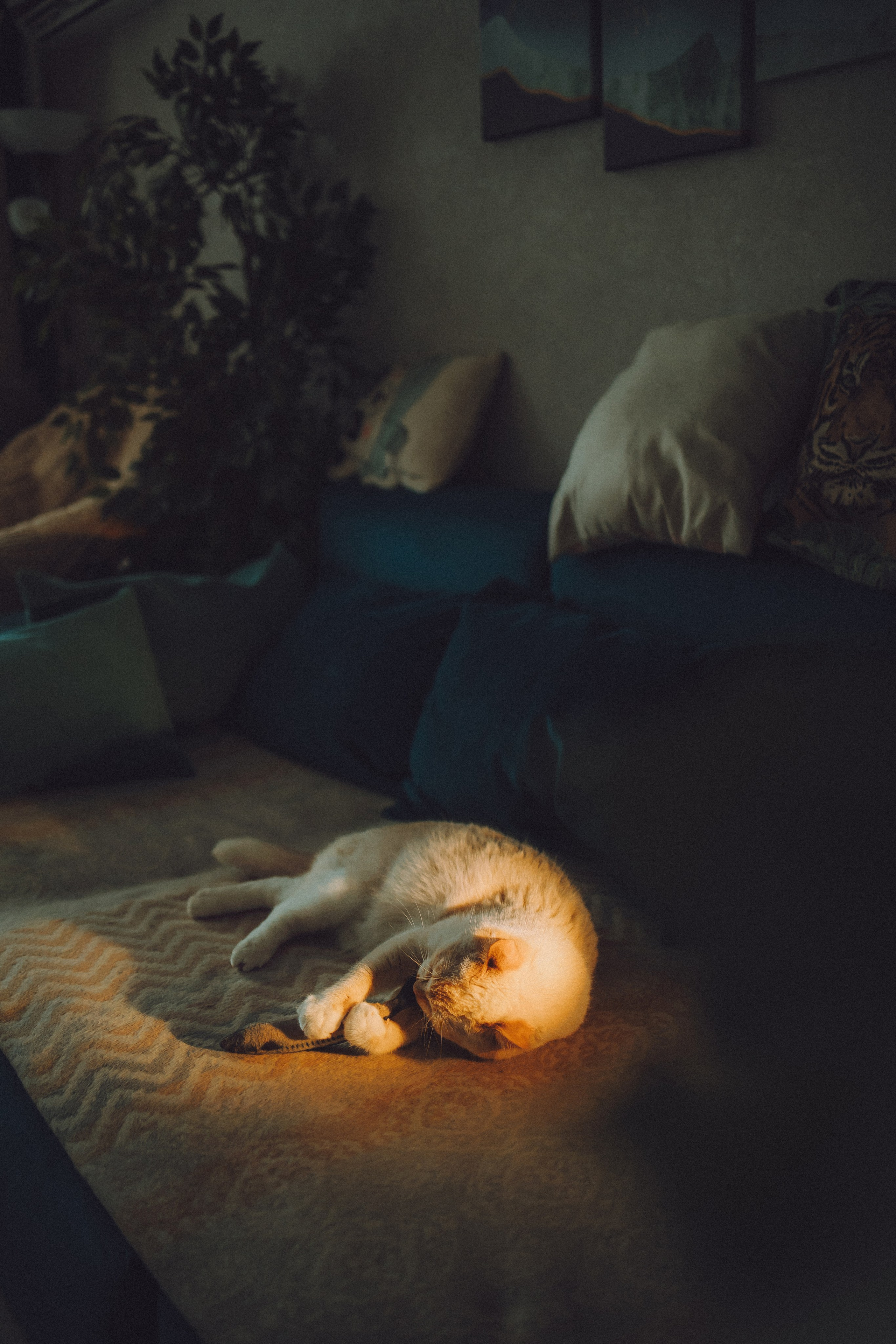 Топик и его семья