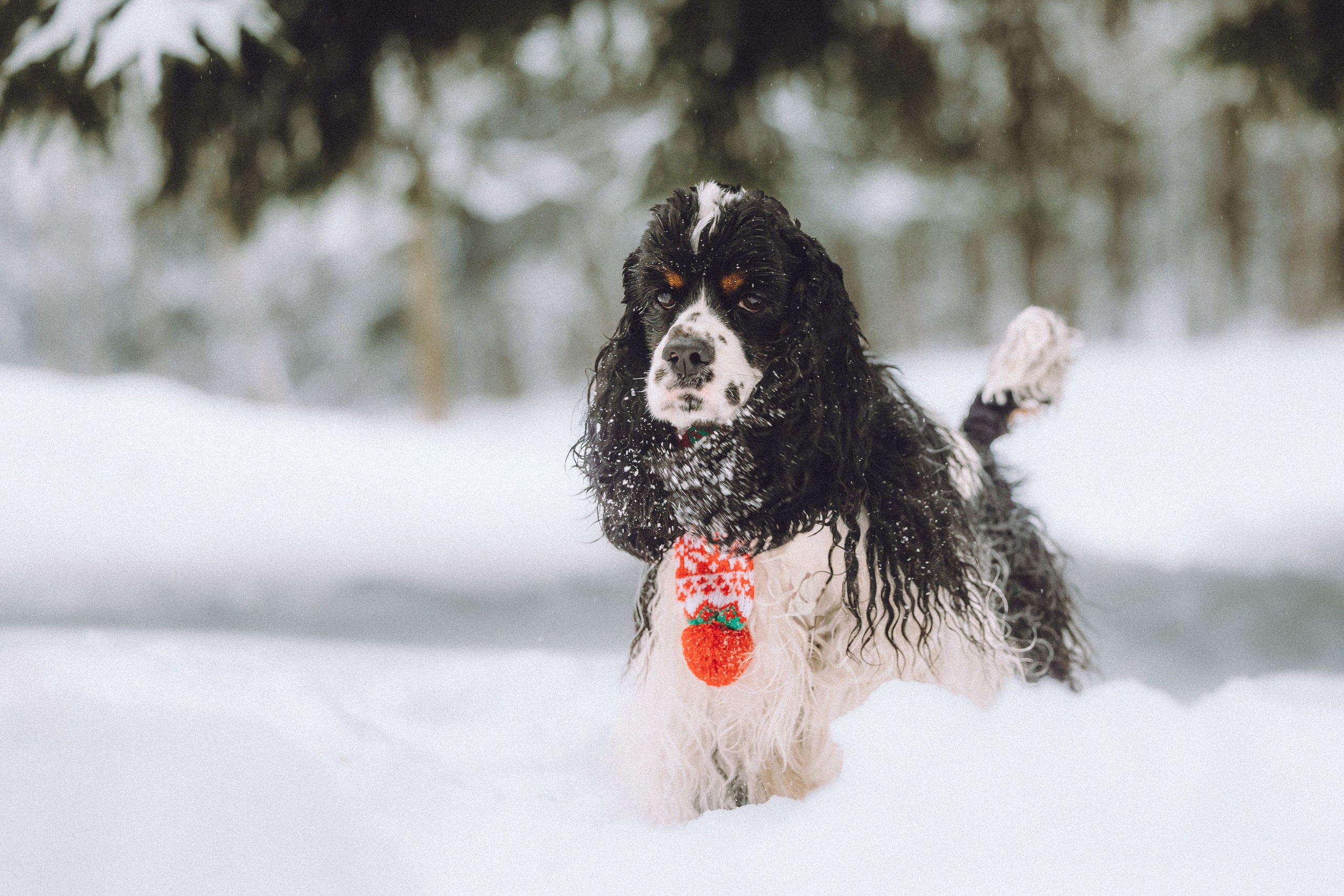 Ольга и Патрик