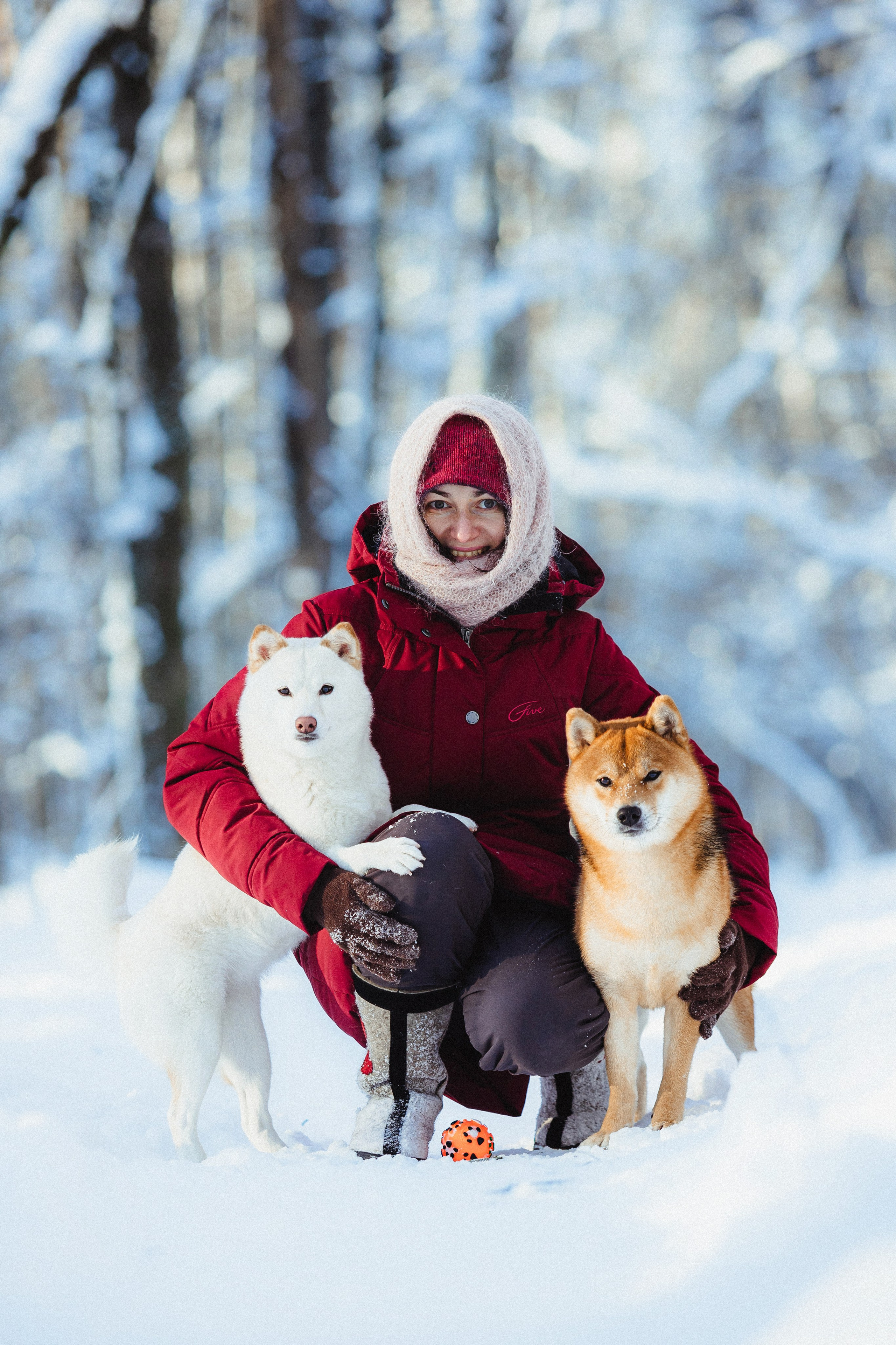 Шед, Цири и Ира