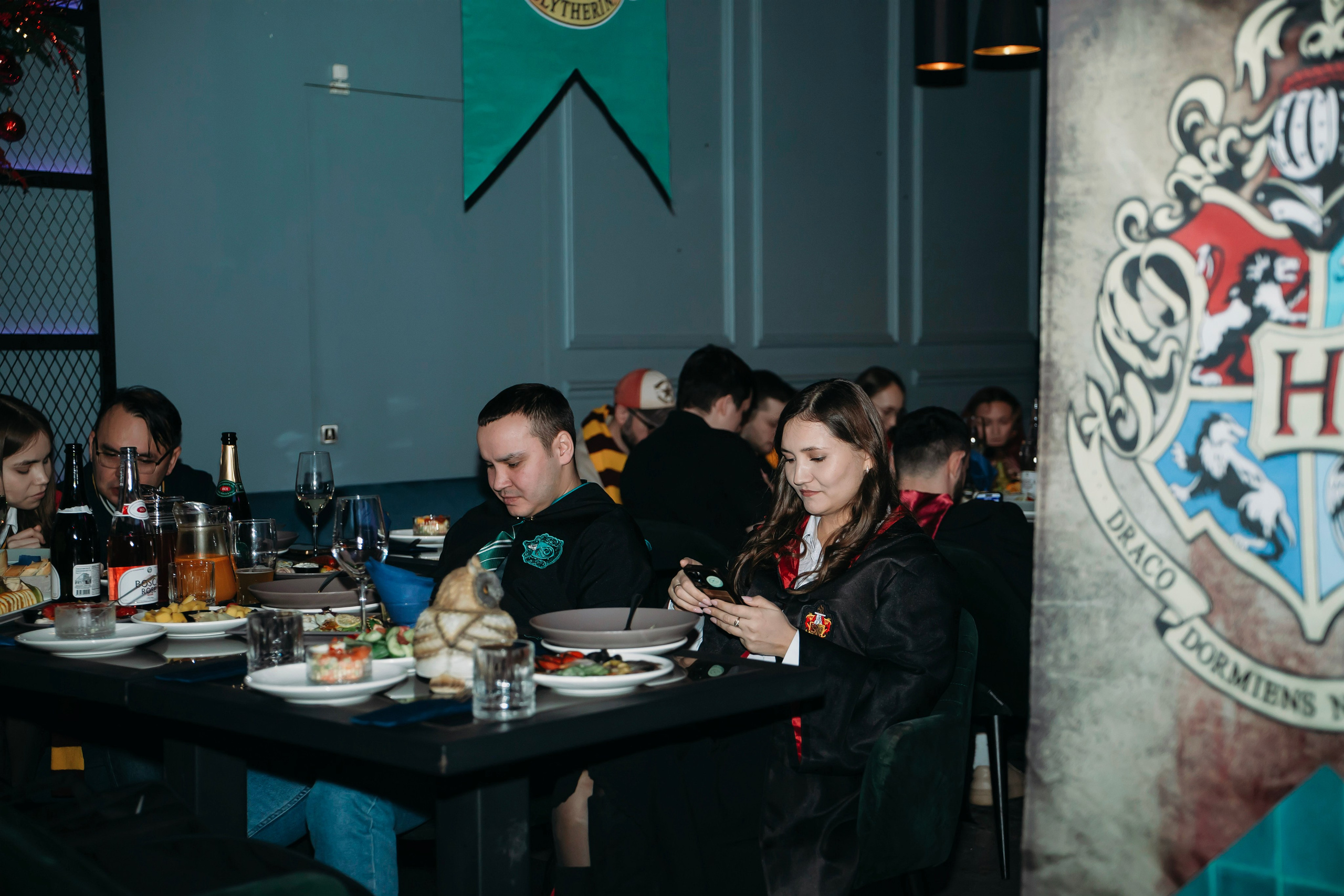 Новогодний Гарри Поттер. Фотограф Алина Любимова г. Пермь