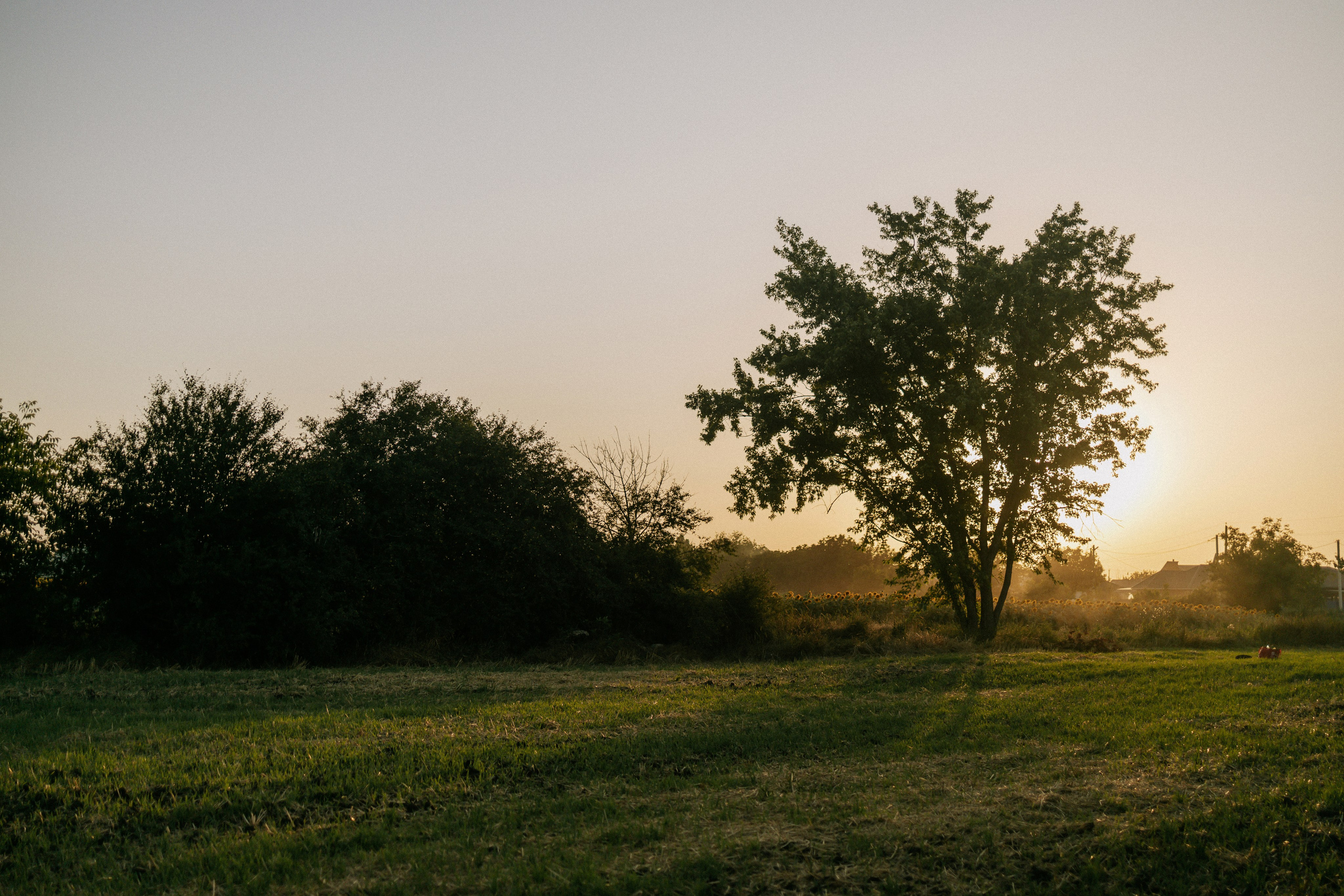 Летний вечер на Кубани. Свадебный и Семейный фотограф в городе Тимашевск и Краснодар