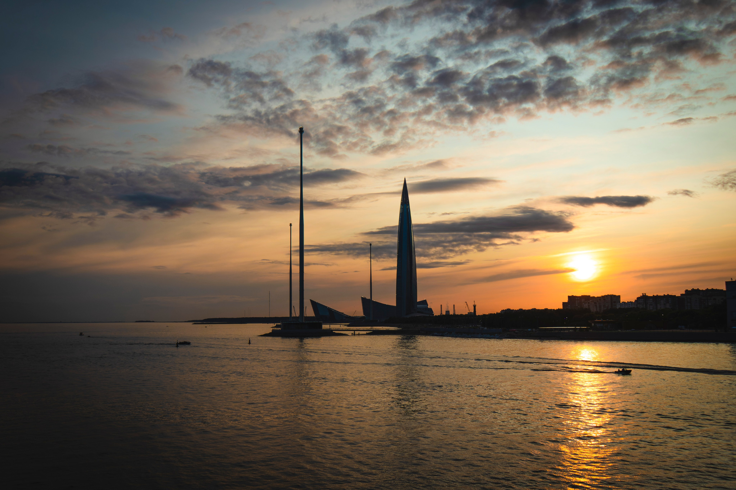 Из наблюдений. Плак или Квак